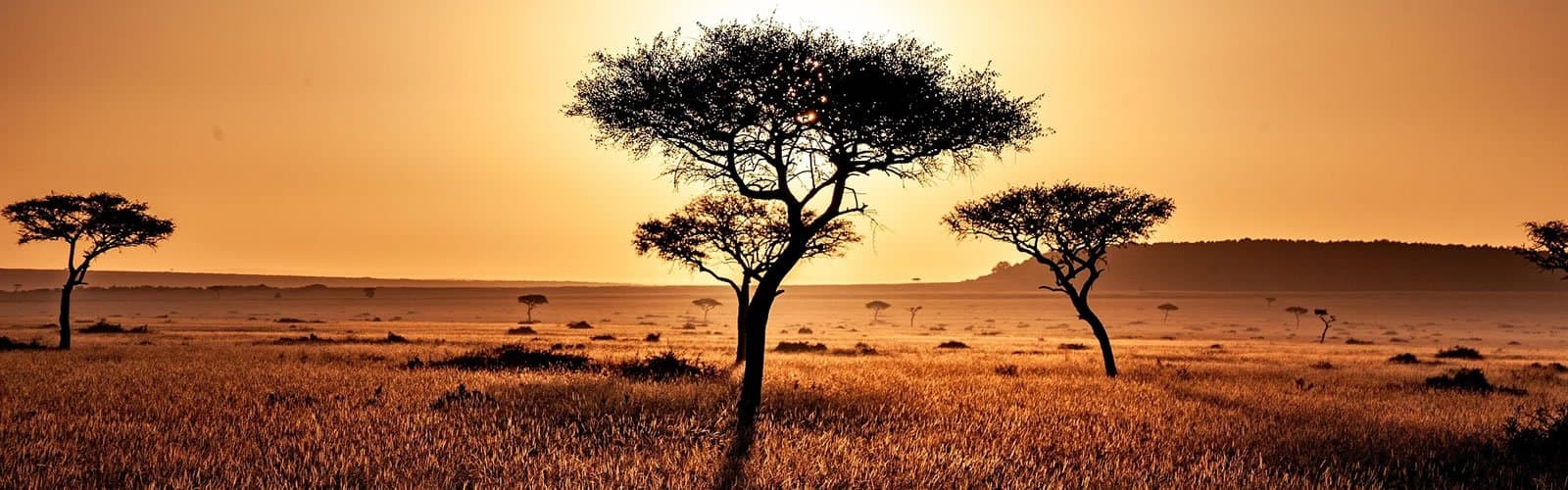 Landscape in Kenya - savanna, ecoregion