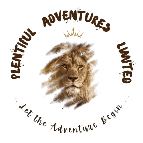 Lion in Kenya - lion, east-african-lion