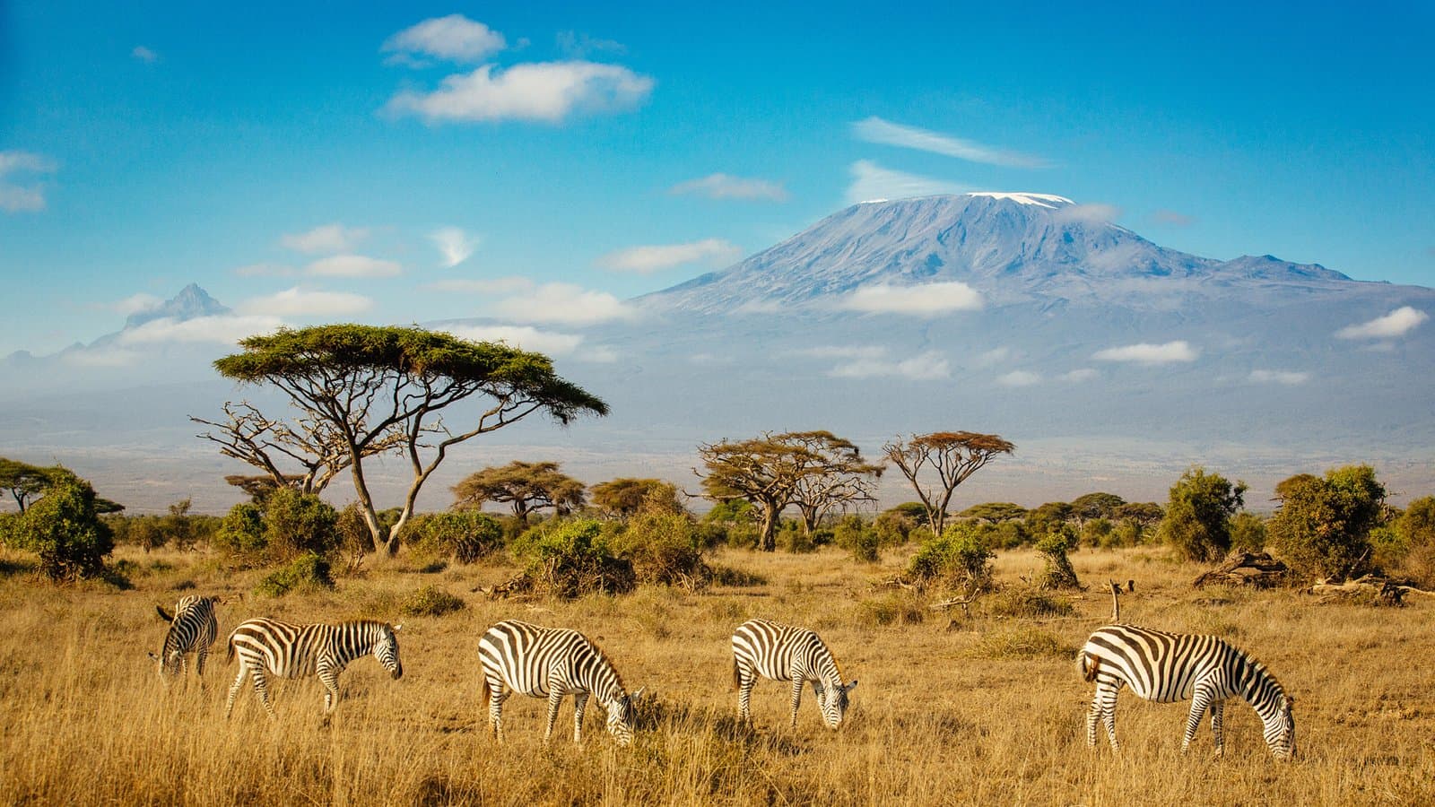Safari gear and binoculars laid out for a Kenya trip