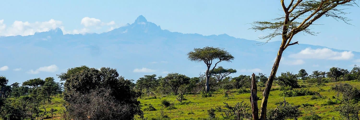 Kenya Safari Cost Guide