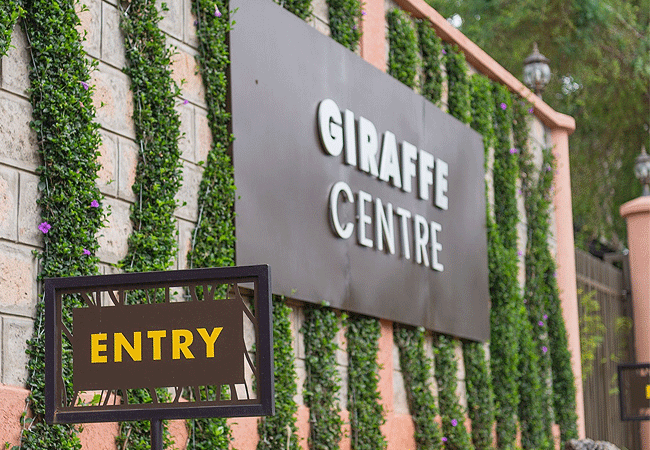 giraffe-centre-nairobi-hero.