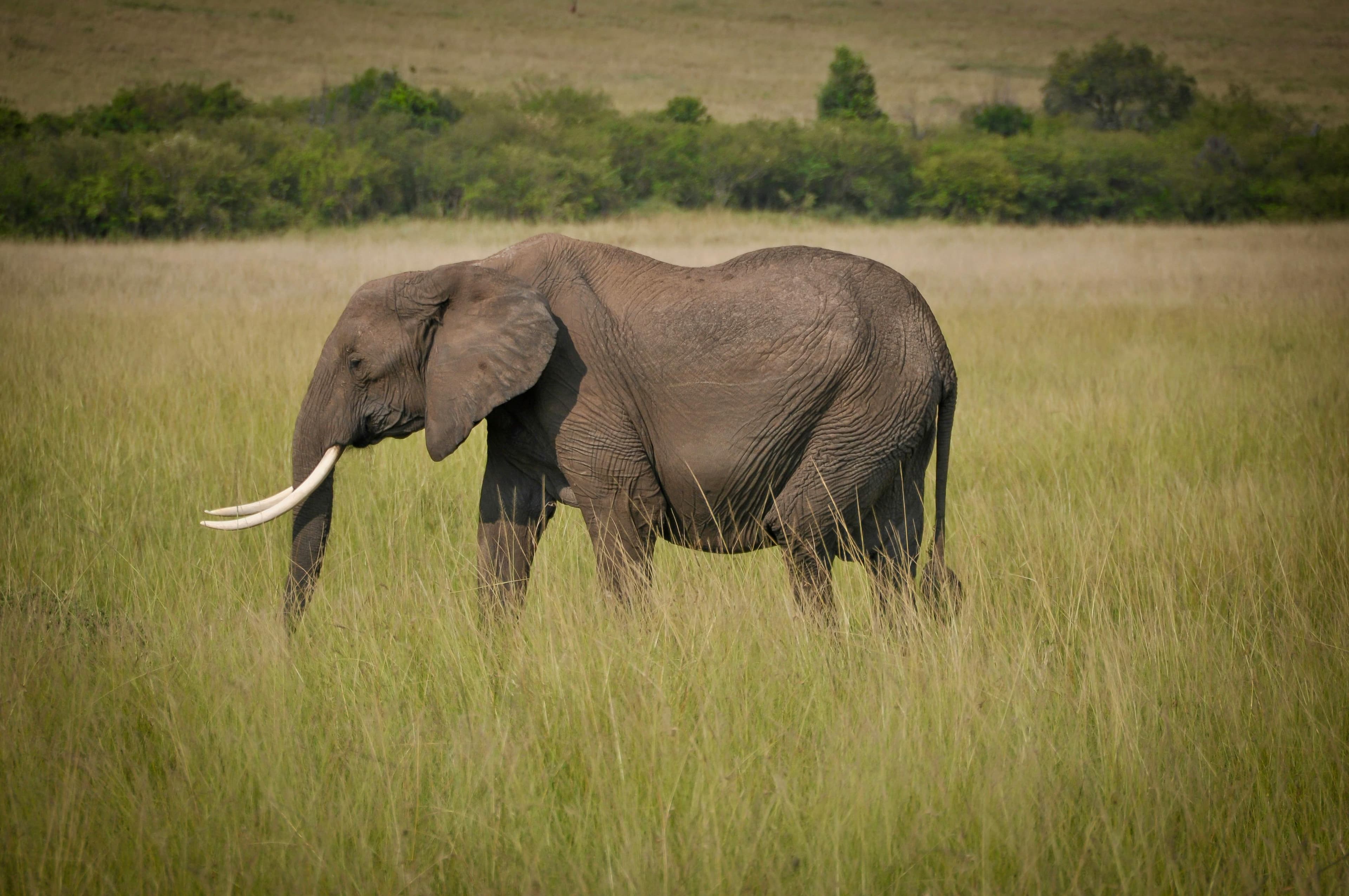 3 Days Aberdare & Ol Pejeta Safari - Day 1