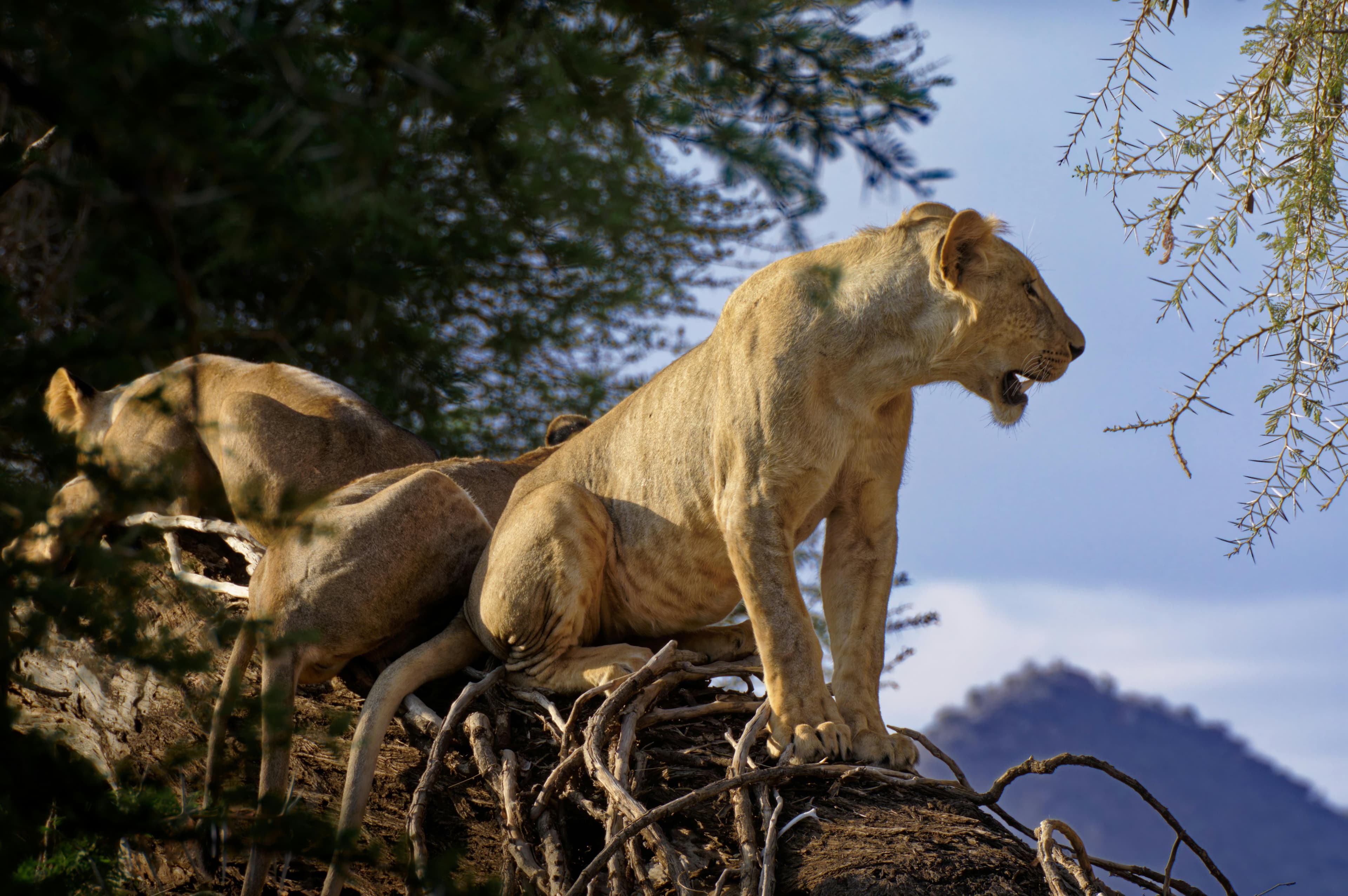 3 Days Samburu Adventure - Day 2