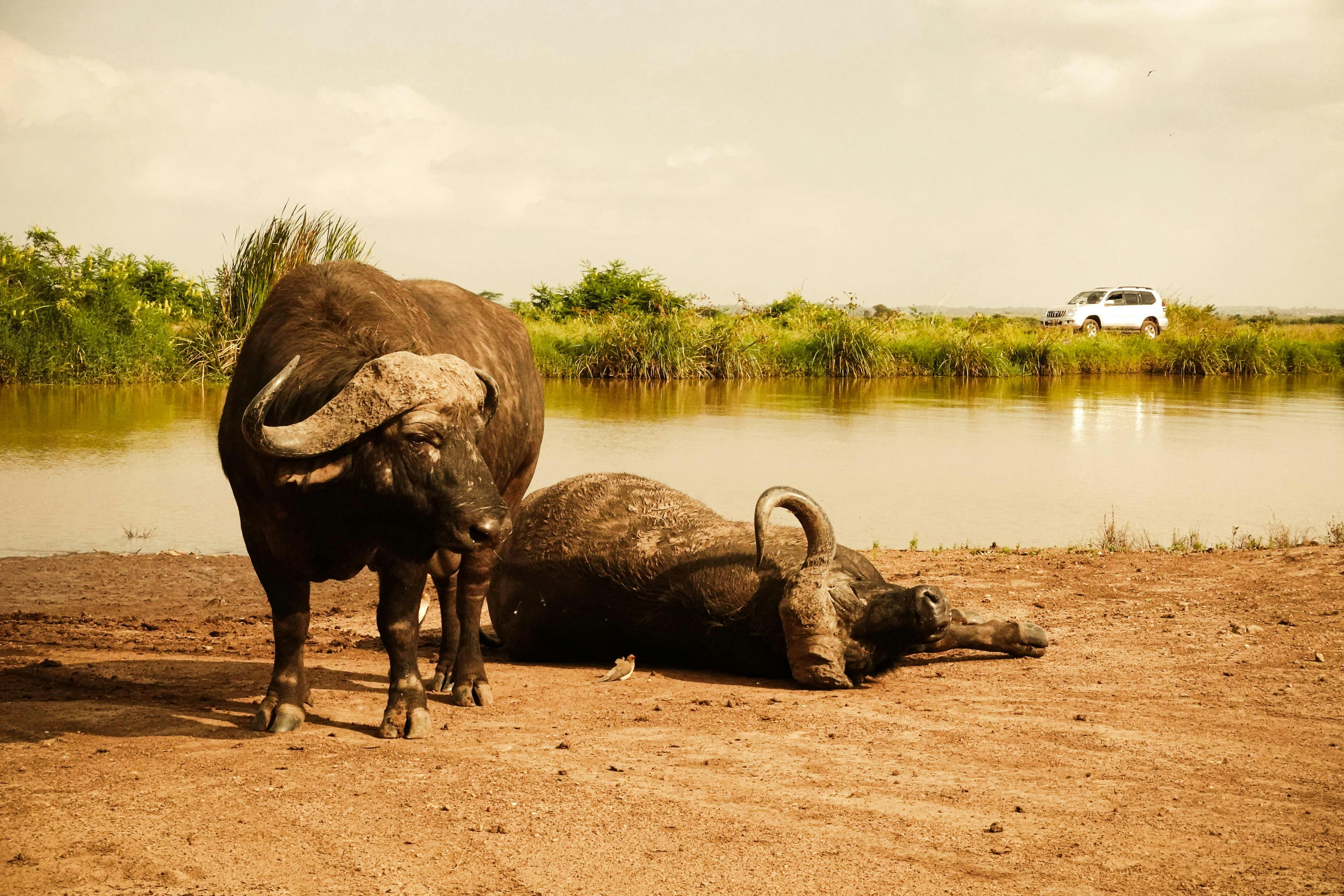 3 Days Tsavo East & West Safari - Day 1