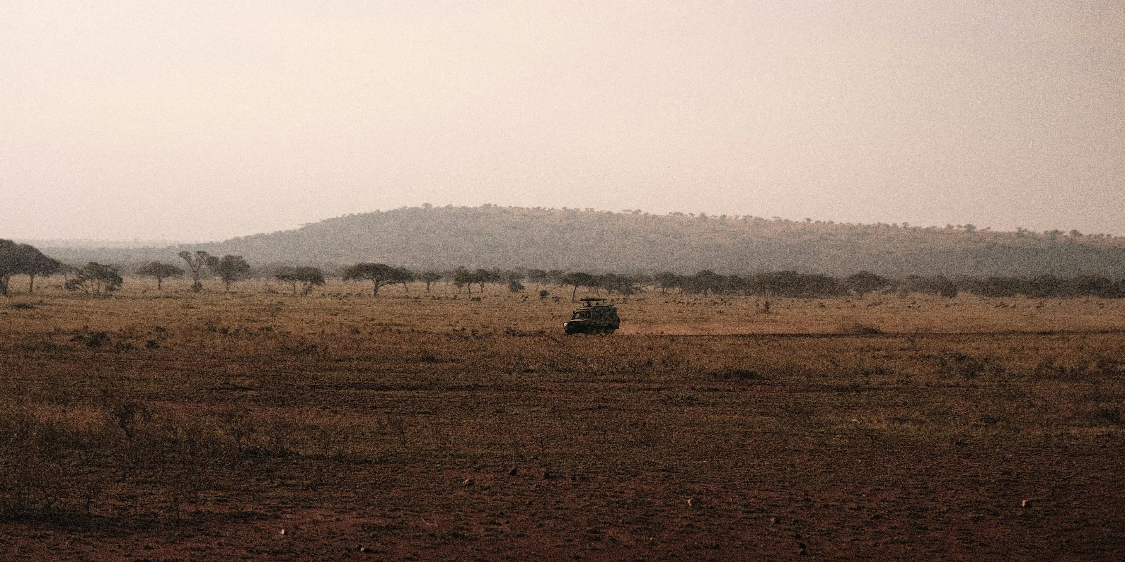 4 Day Lake Naivasha & Maasai Mara Safari - Day 2 Use a wide Mara plains image or early game-drive scene.