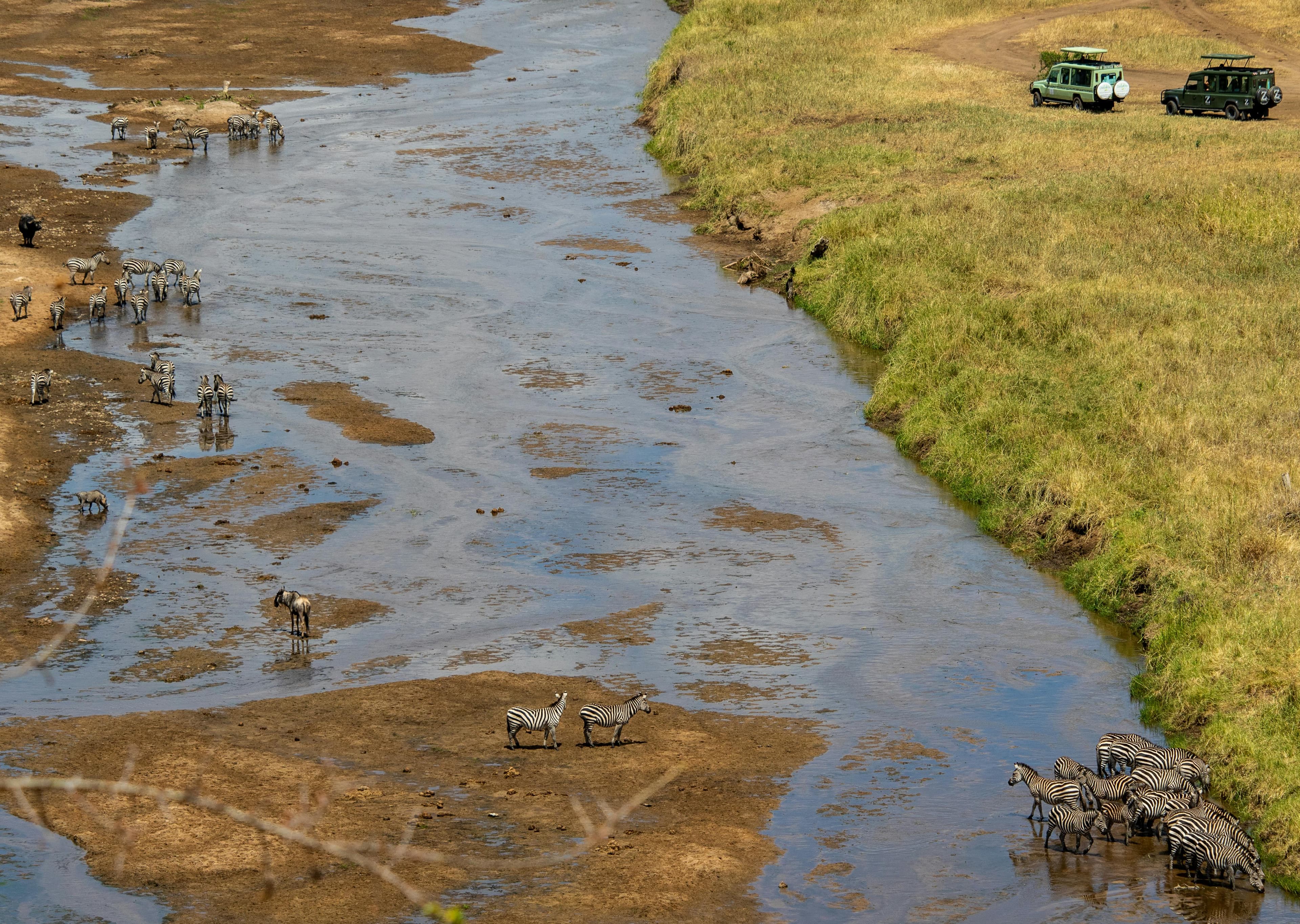 4 Day Lake Naivasha & Maasai Mara Safari - Day 3 Use a high-impact Maasai Mara wildlife image.