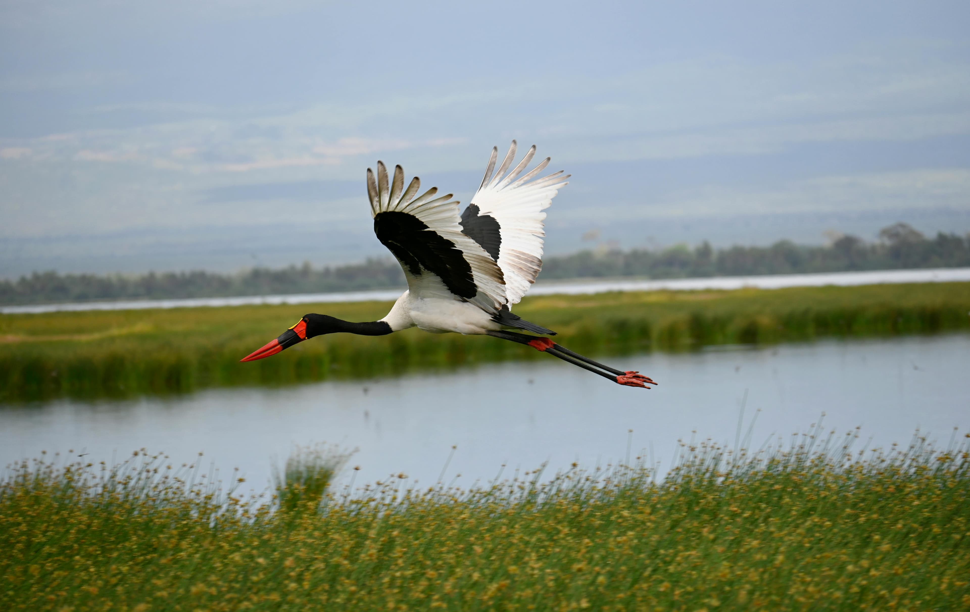 4-Day Zanzibar to Maasai Mara Safari - Day 1