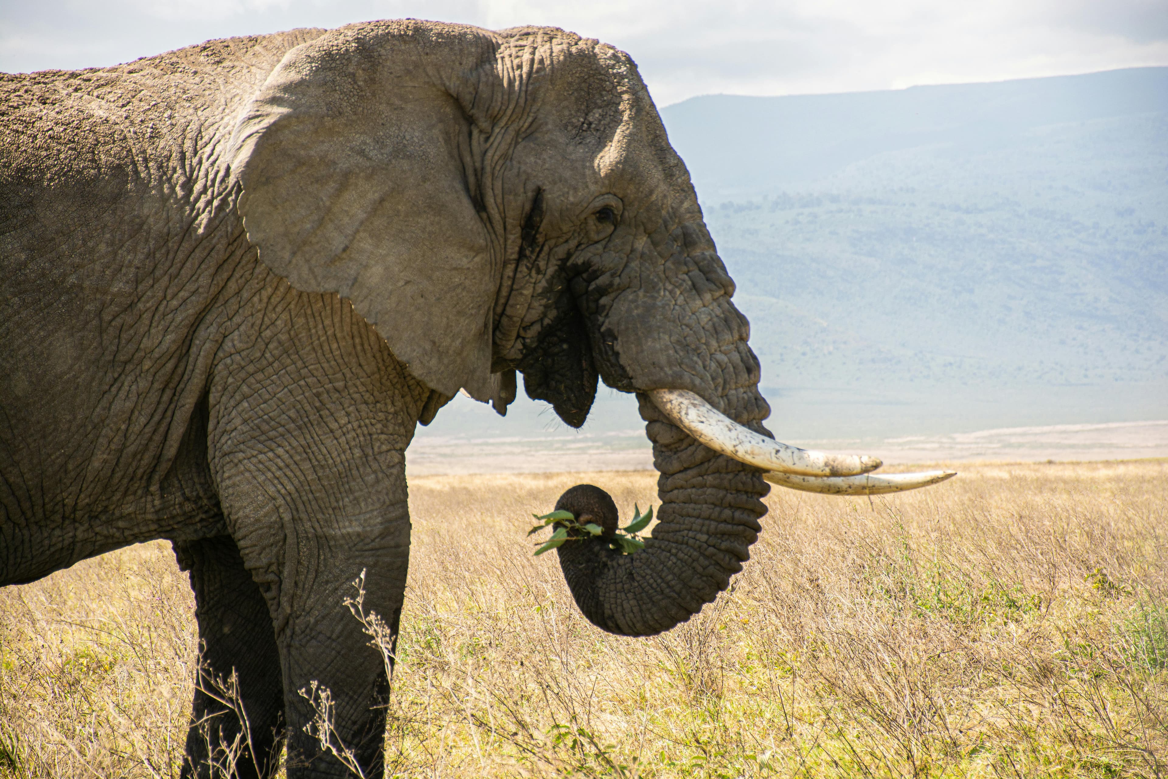 5 Days Tanzania Safari - Day 1