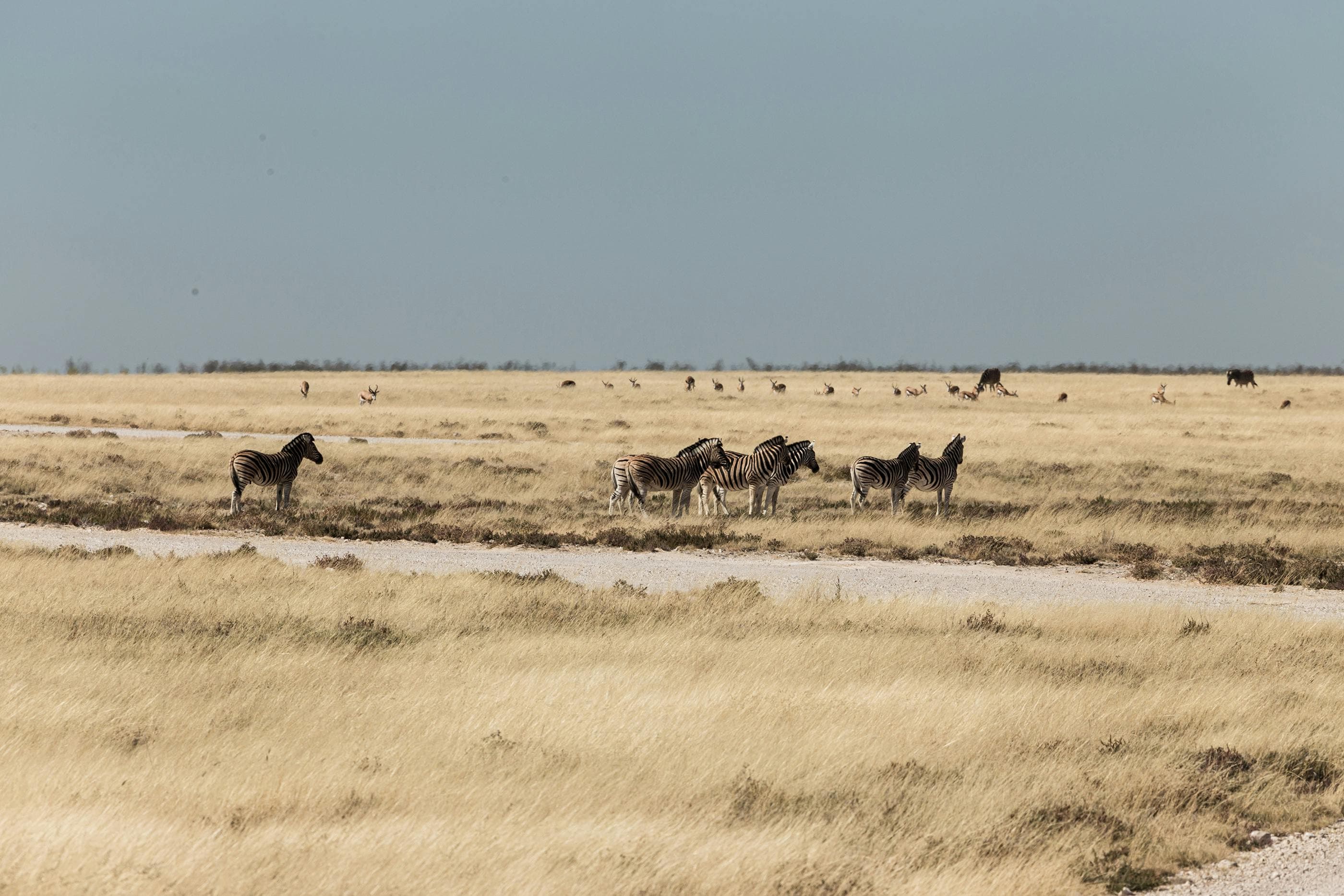 5 Days Tanzania Safari from Nairobi - Day 2