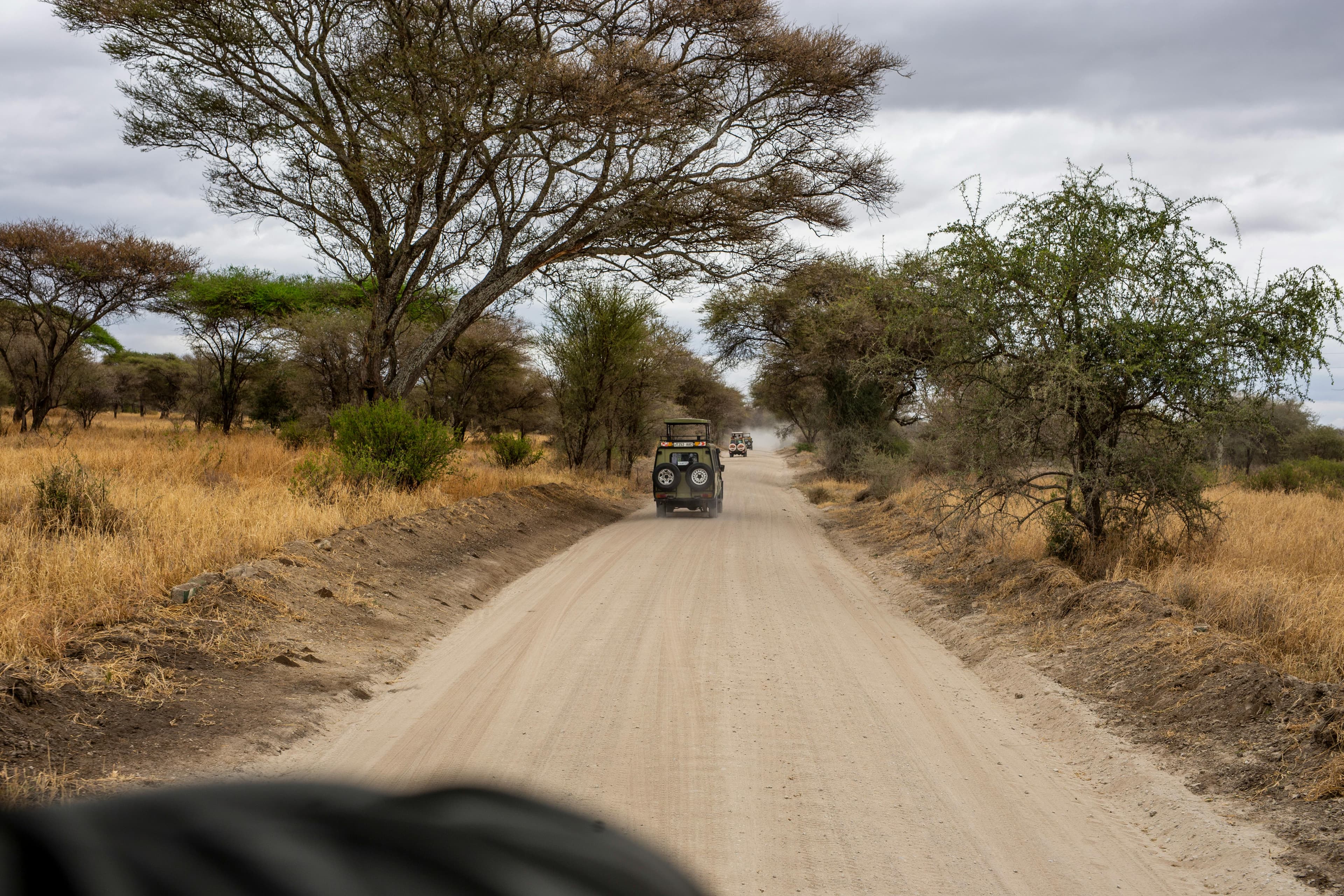 7-Day Kenya & Tanzania Safari - Safari landscape