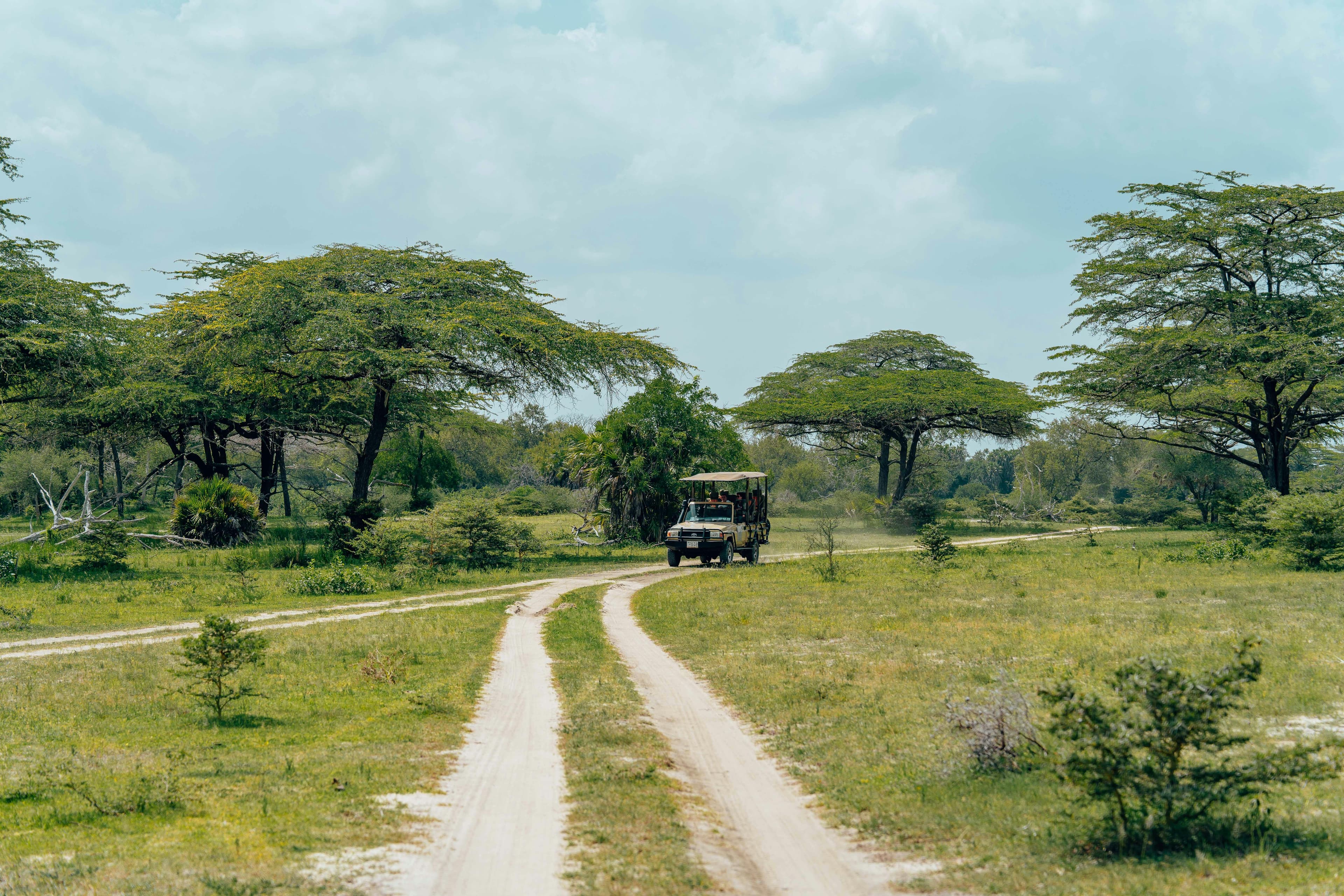 9-Day Kenya & Tanzania Safari TOUR - Safari landscape