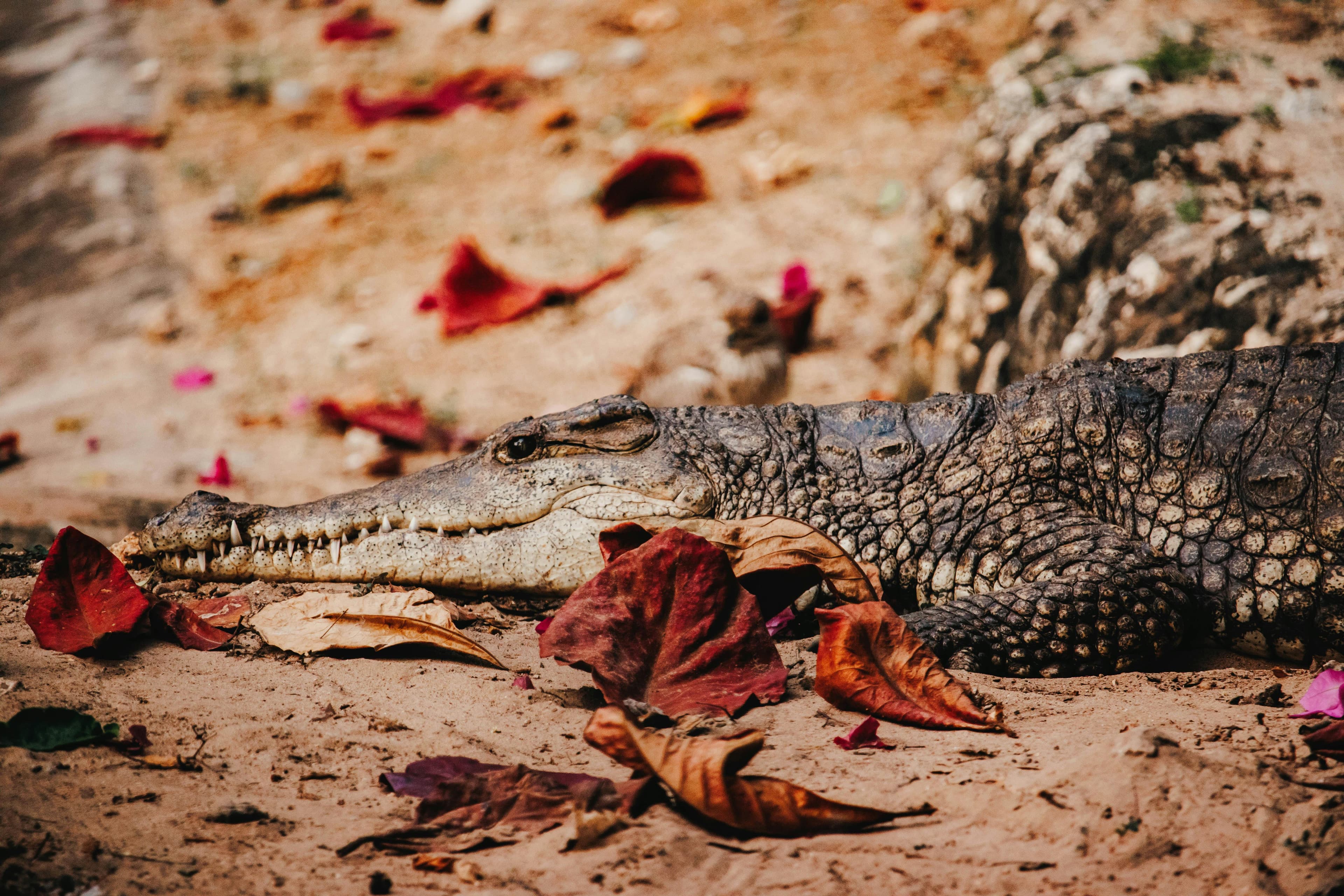 Mombasa Day Trip - Day 1