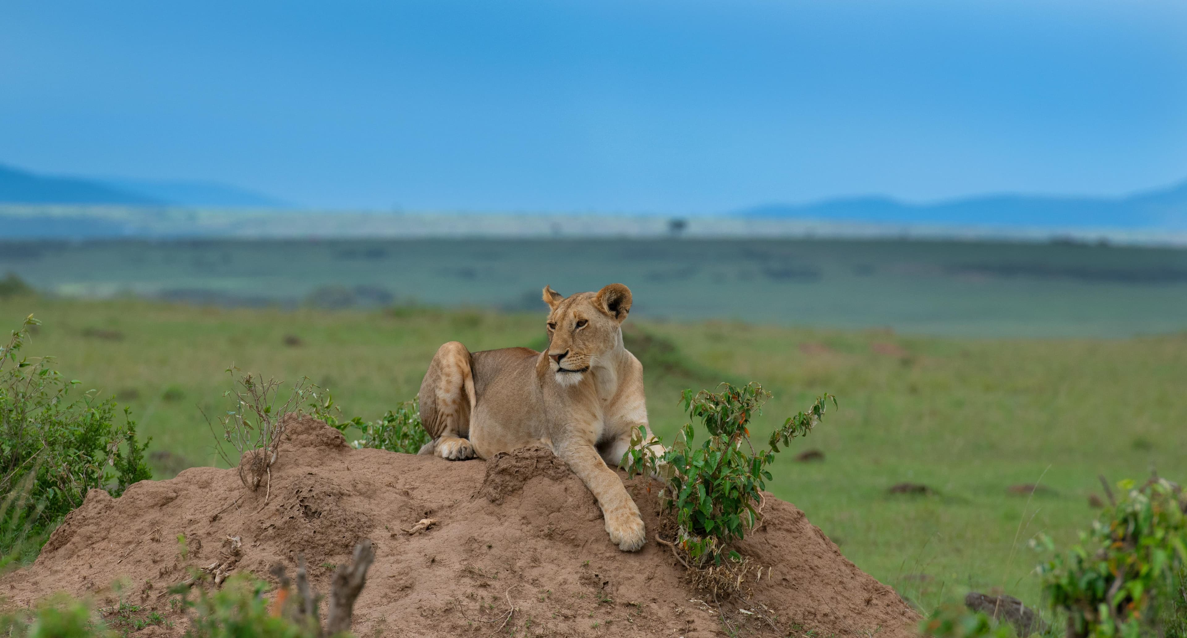 Nairobi Day Trips - Day 1