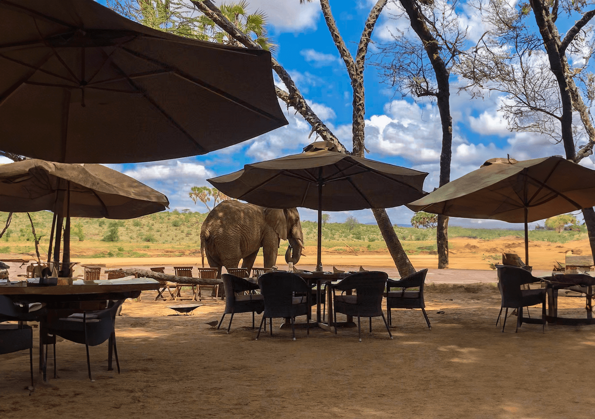 Elephant Bedroom Camp