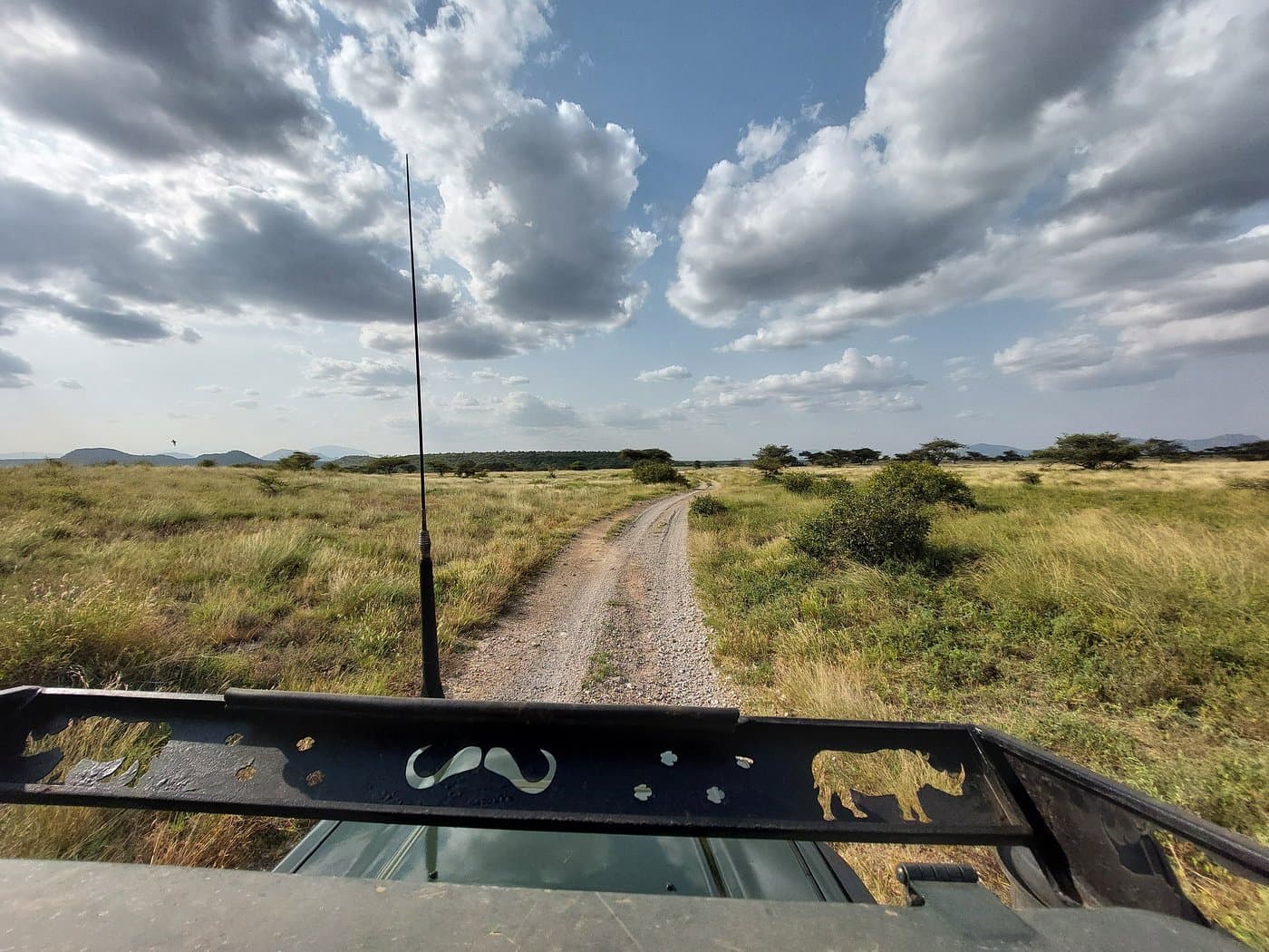 Landscape - ecoregion, plain