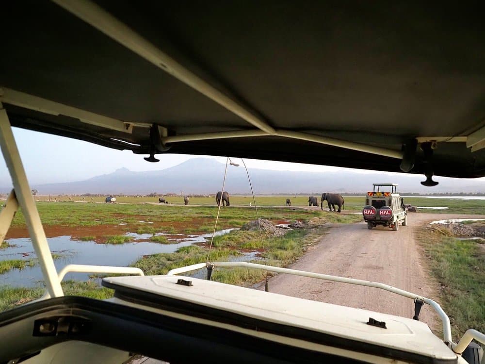 Landscape - plain, steppe
