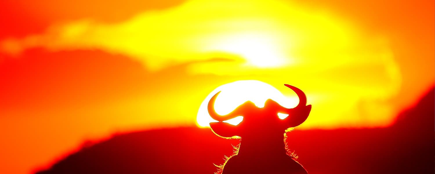 Jambo Mara Safari Lodge