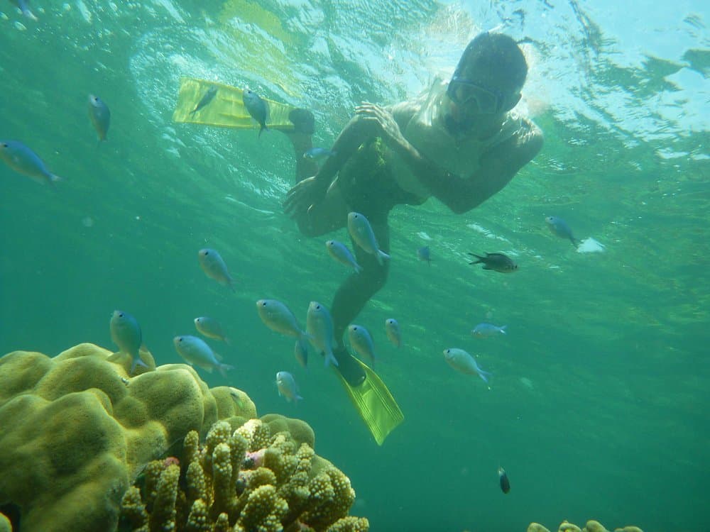 Beach in Kenya - water, underwater