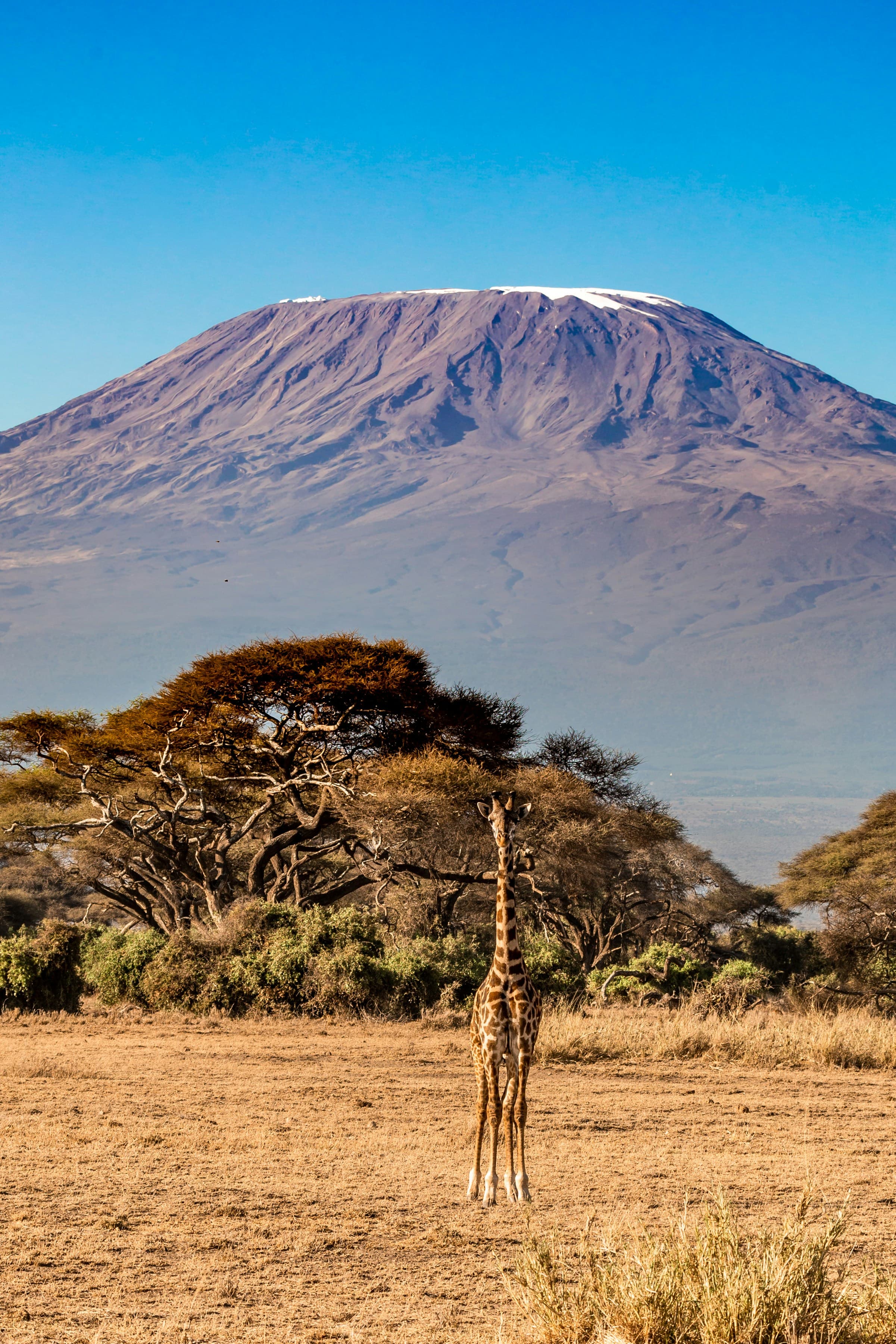 Kilimanjaro-tanzania-mountain