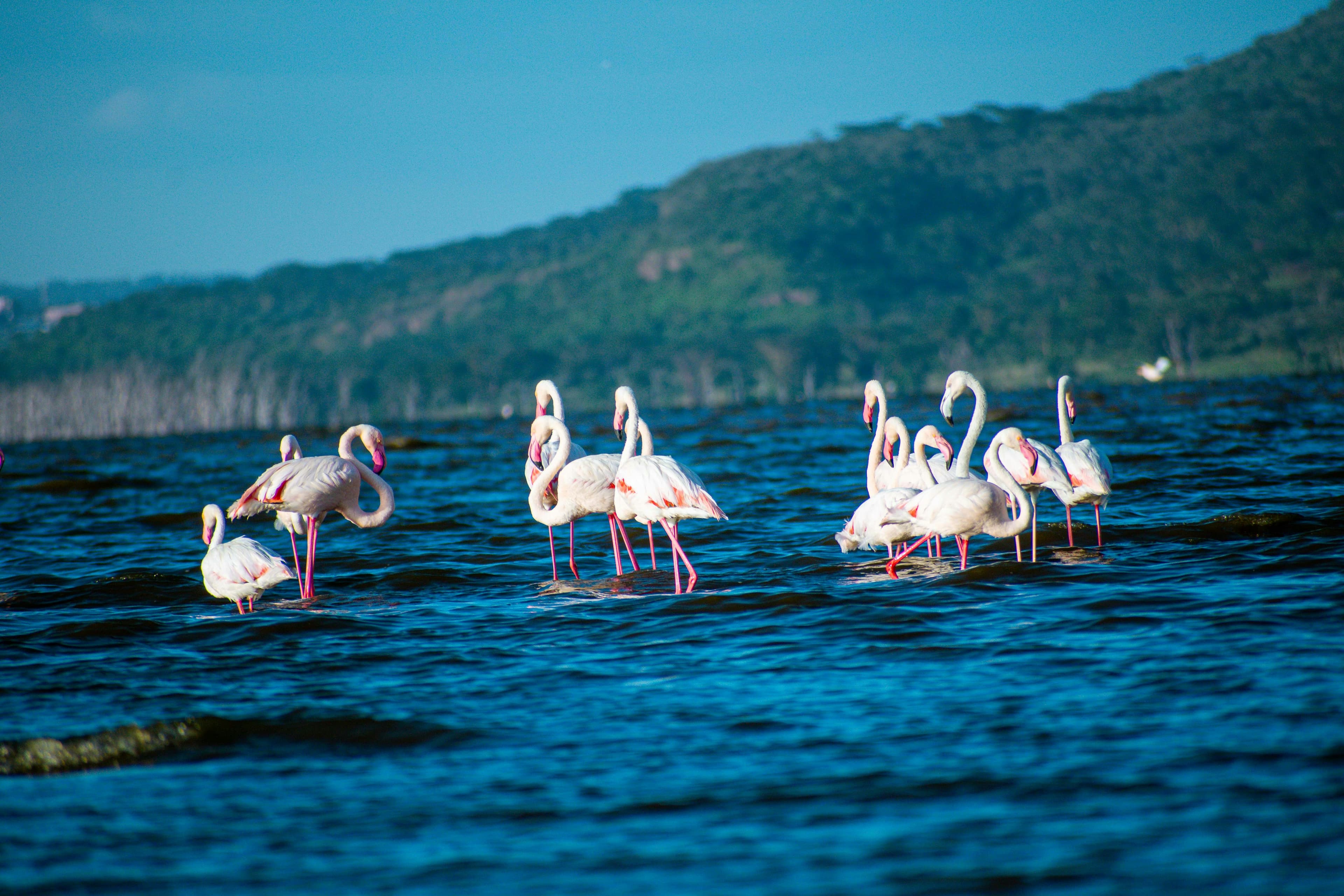 lake-nakuru-national-park-hero