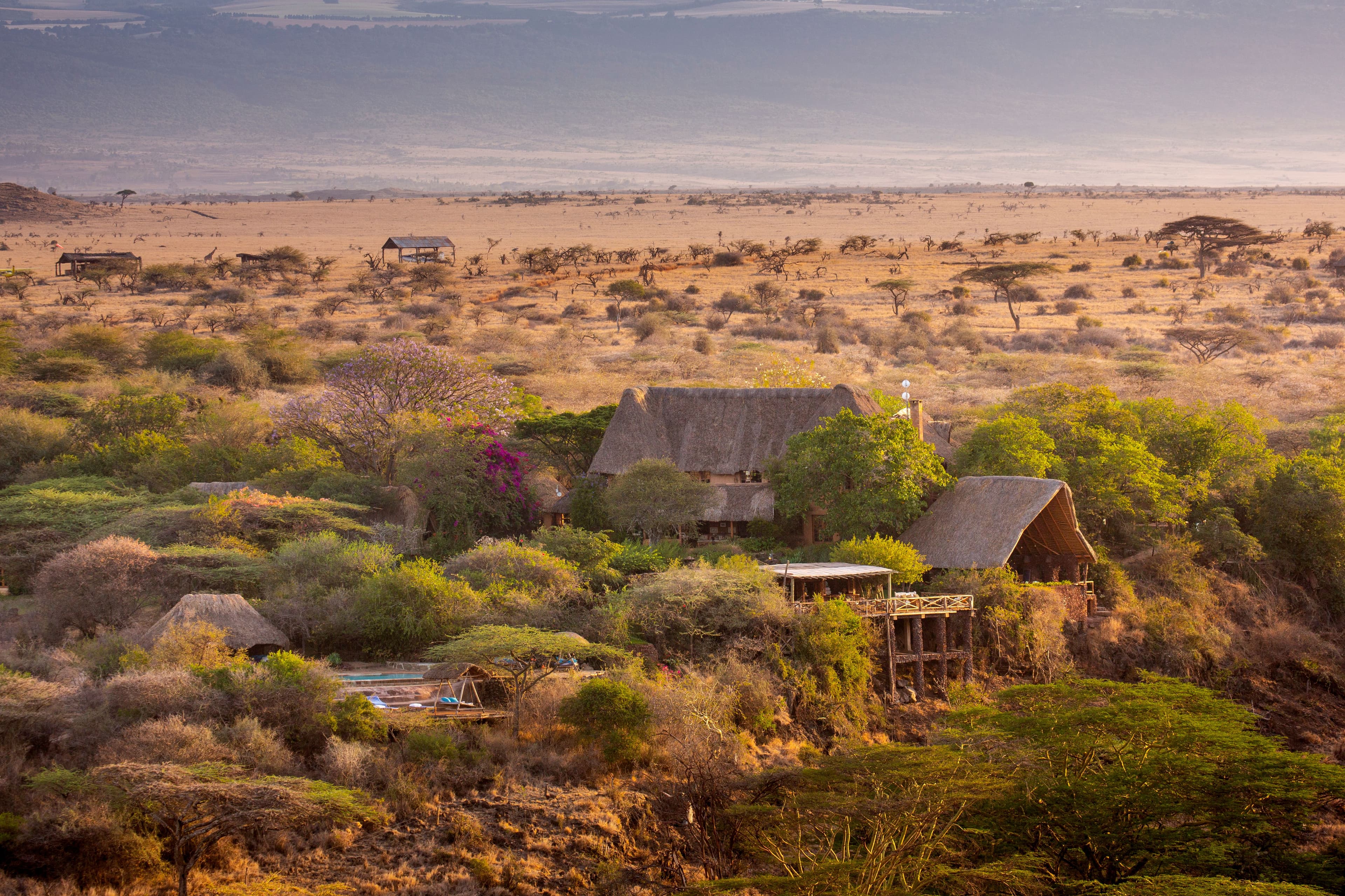 Lewa Wilderness accommodation