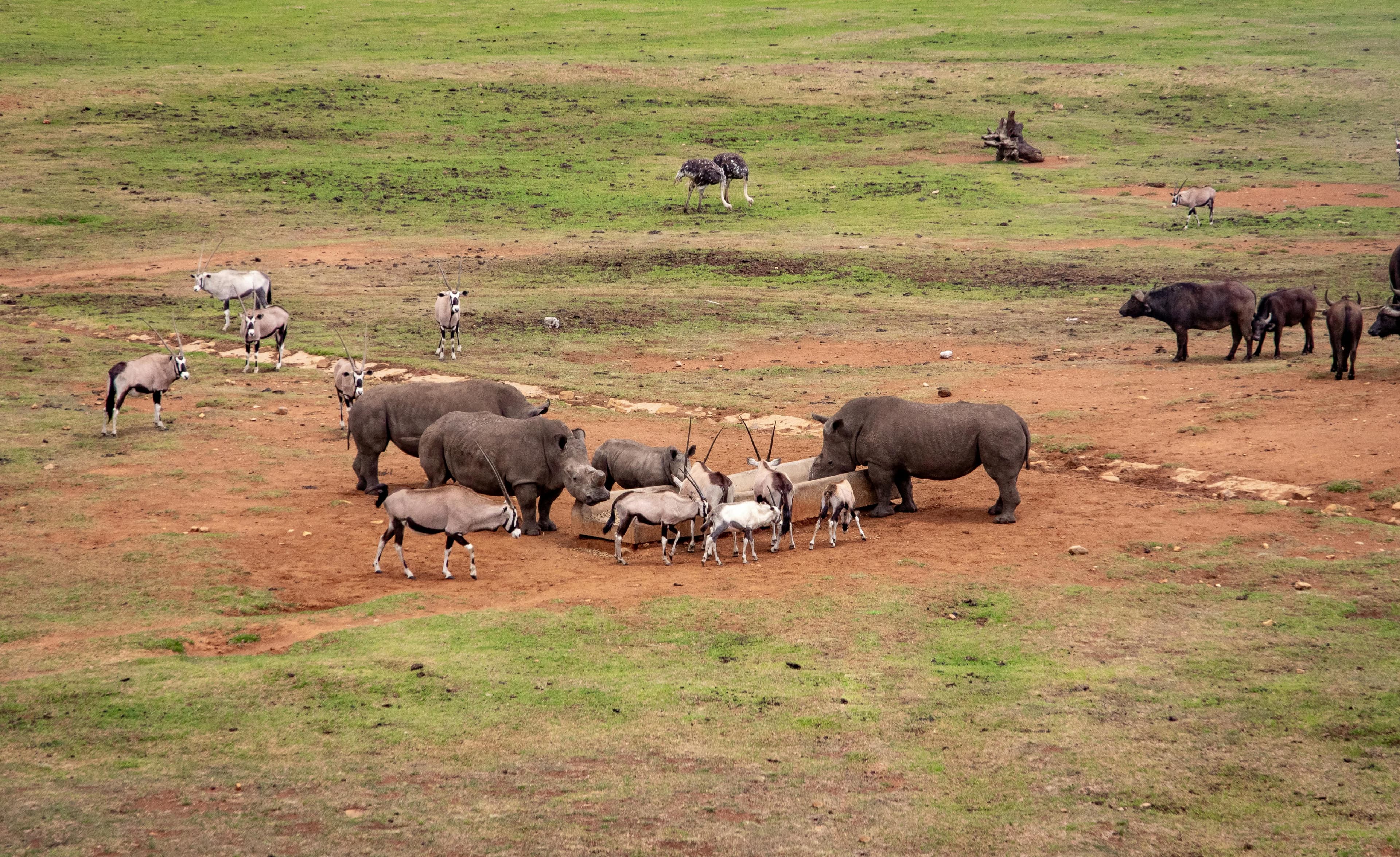 nanyuki-laikipia-image4