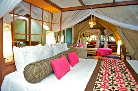 Samburu Intrepids Camp