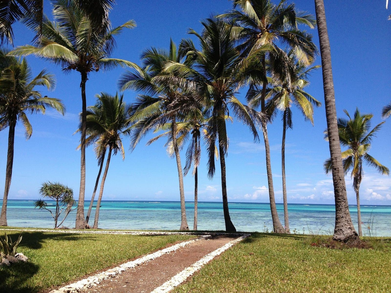 Beach in Tanzania - blue, body-of-water