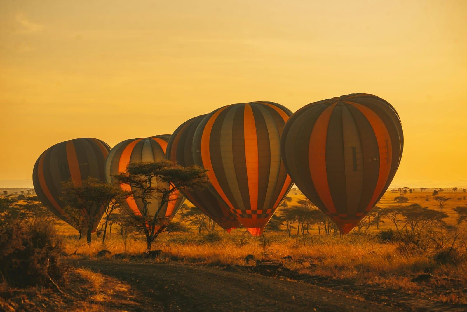 Landscape in Tanzania - horizon, hot-air-ballooning