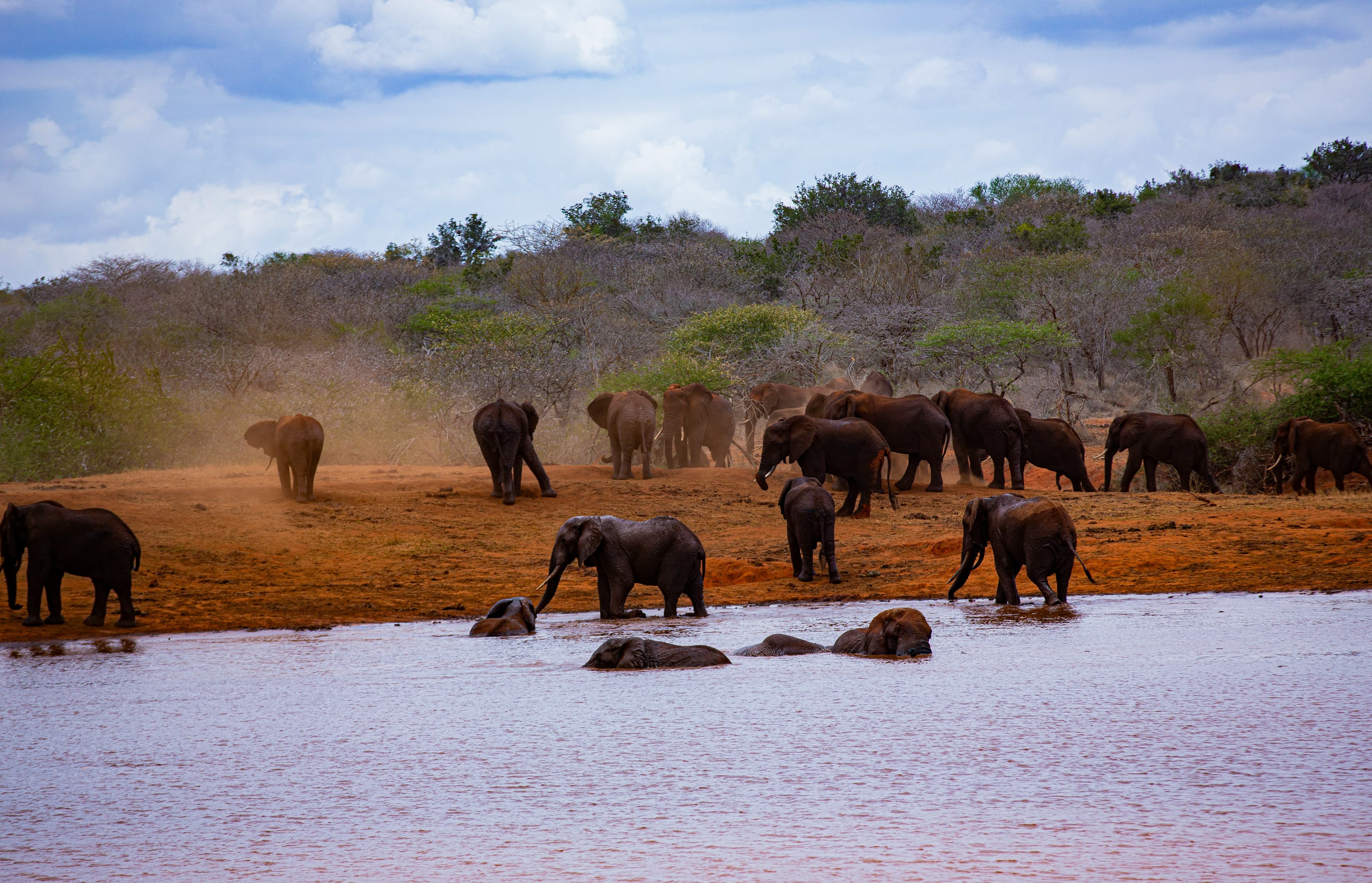 tsavo-east-west-park-hero