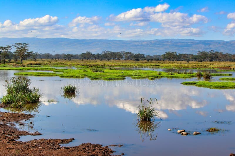 Wildlife and landscape near Lake Nakuru