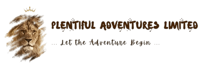 Plentiful Adventures