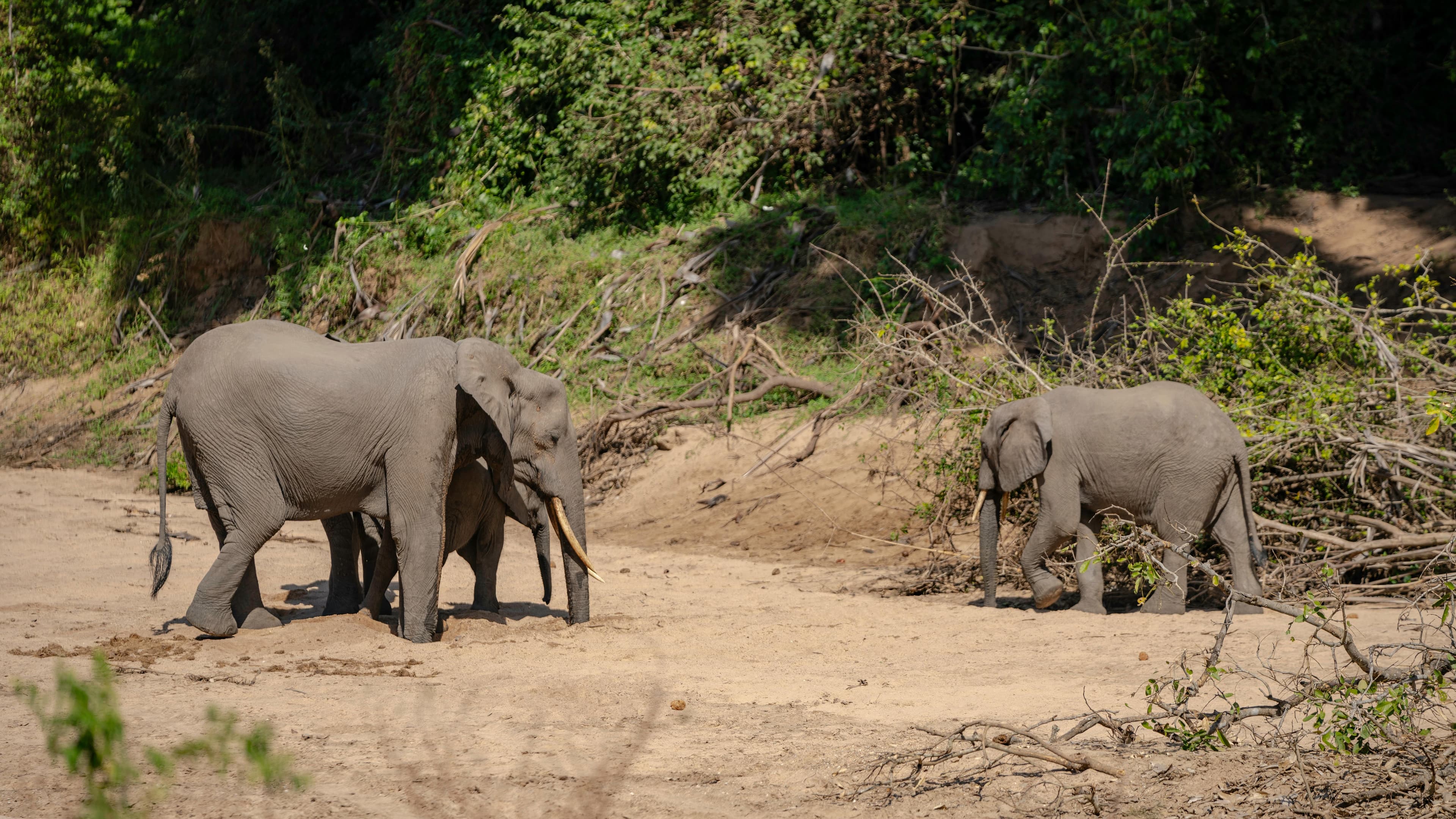 10-Day Kenya & Tanzania Safari | Maasai Mara, Serengeti & Ngorongoro - Day 7
