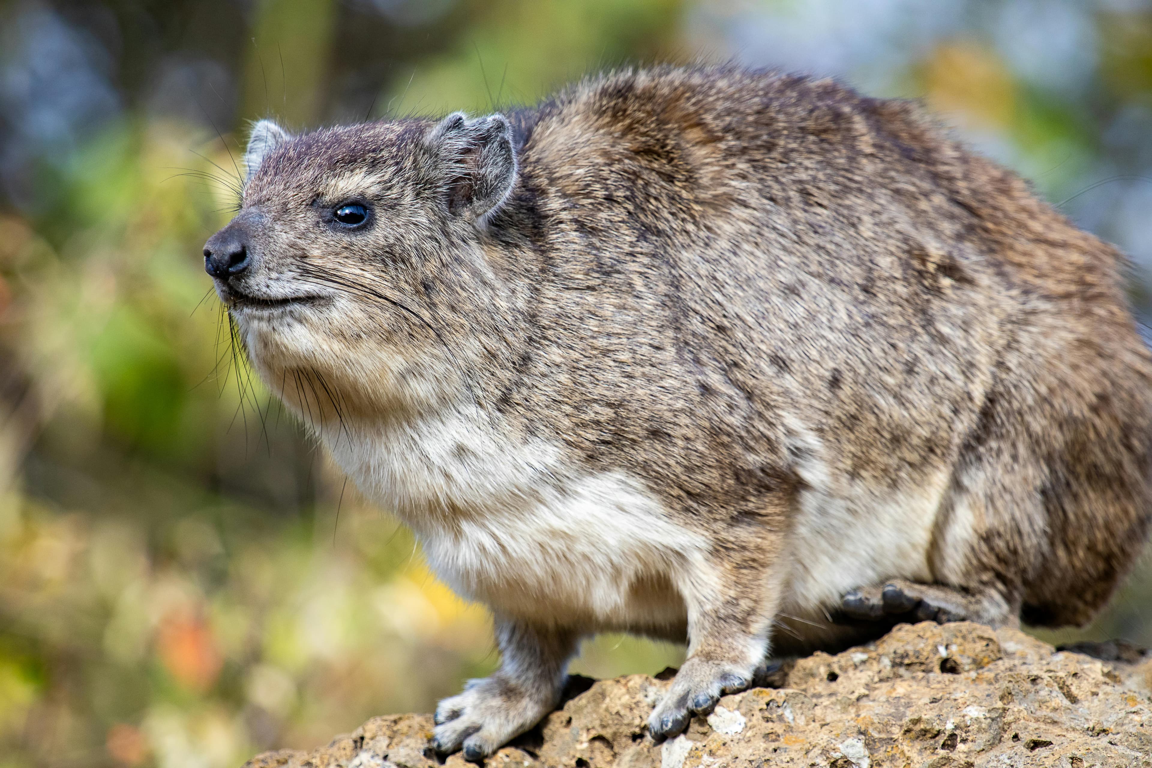 15 Days Kenya Safari and Diani Beach Holidays - Day 1