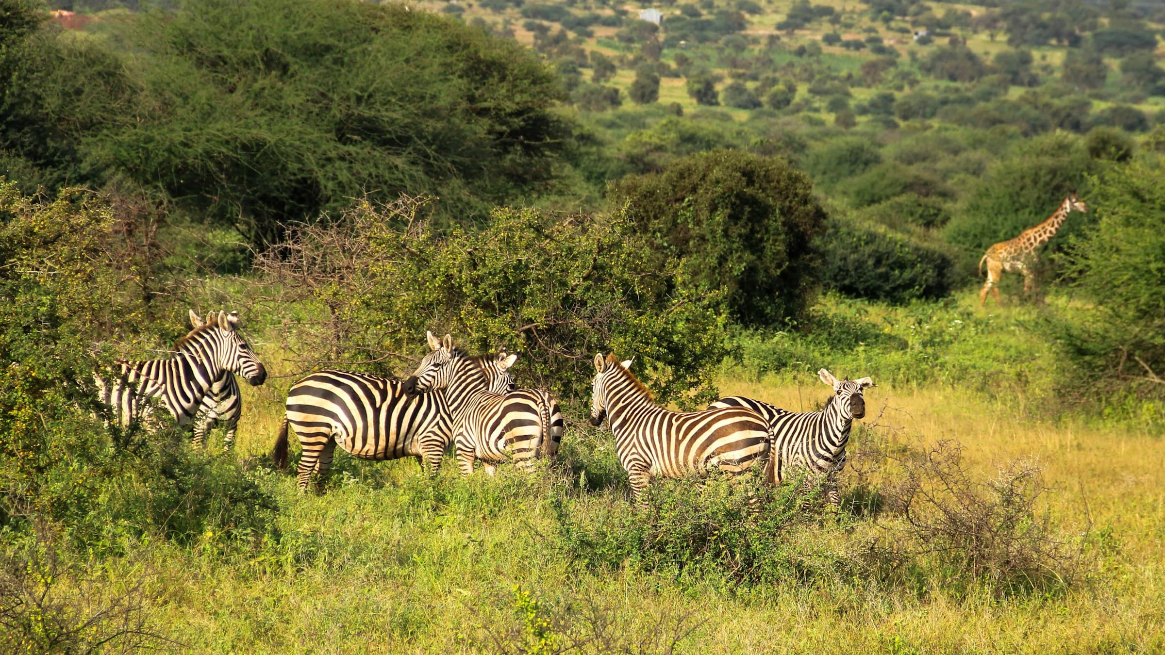 15 Days Kenya Safari and Diani Beach Holidays - Day 15