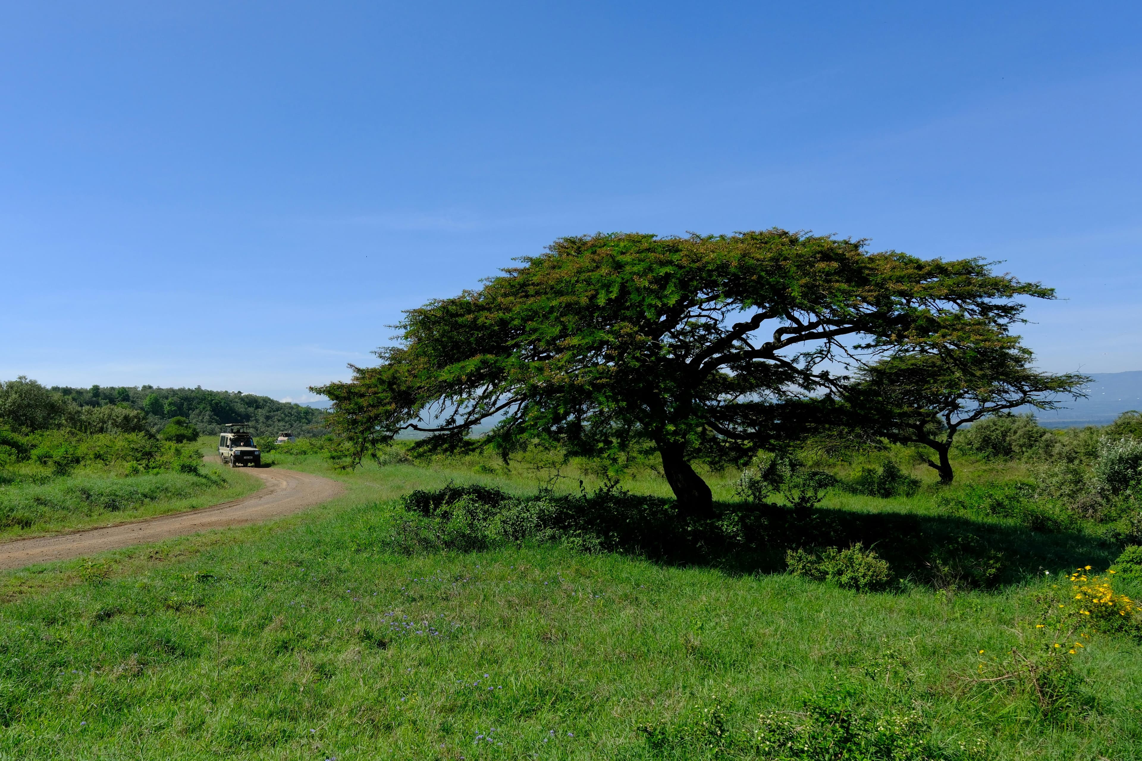 15 Days Kenya Safari and Diani Beach Holidays - Safari landscape