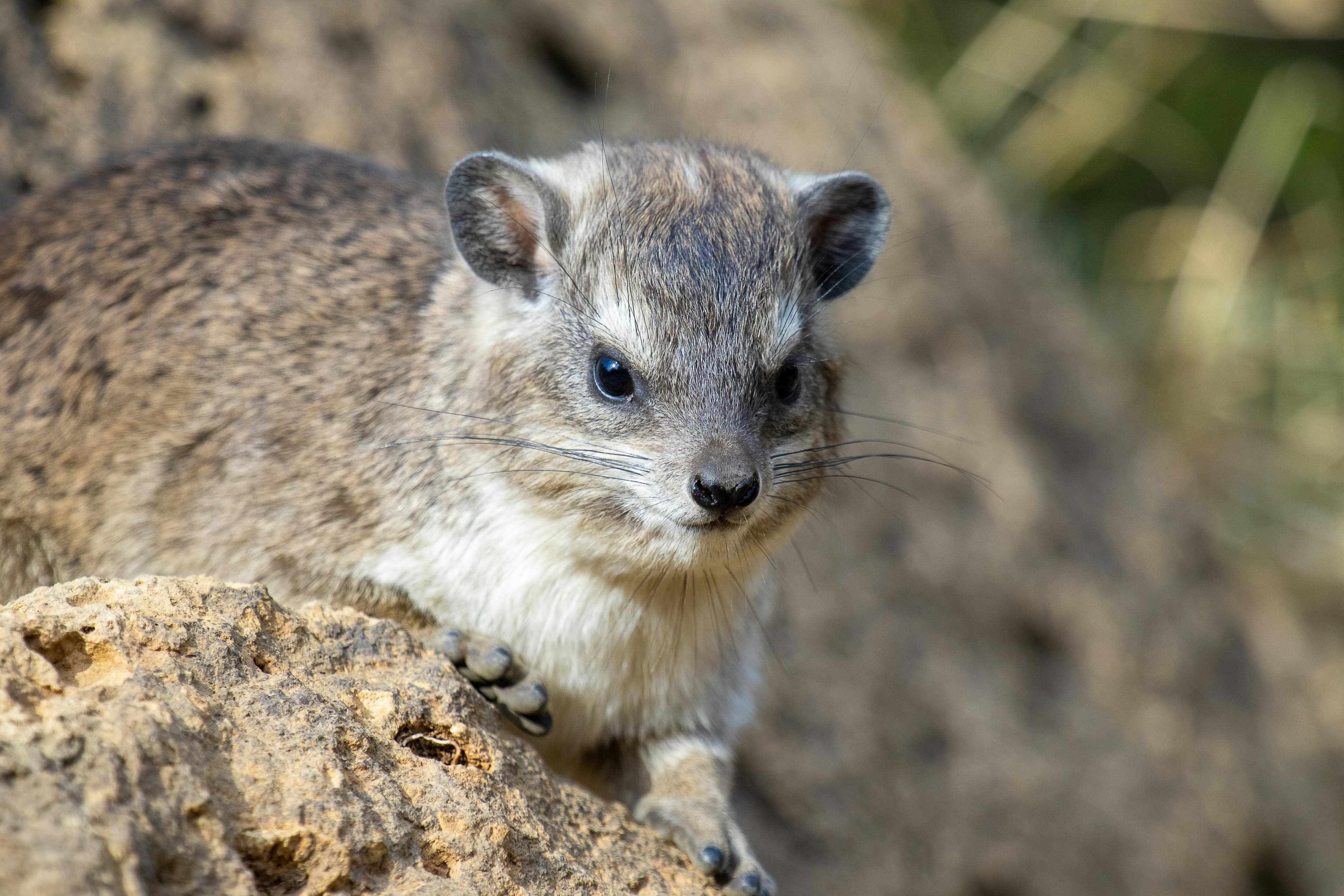 12 Days The Ultimate Kenya Safari Experience - Day 1