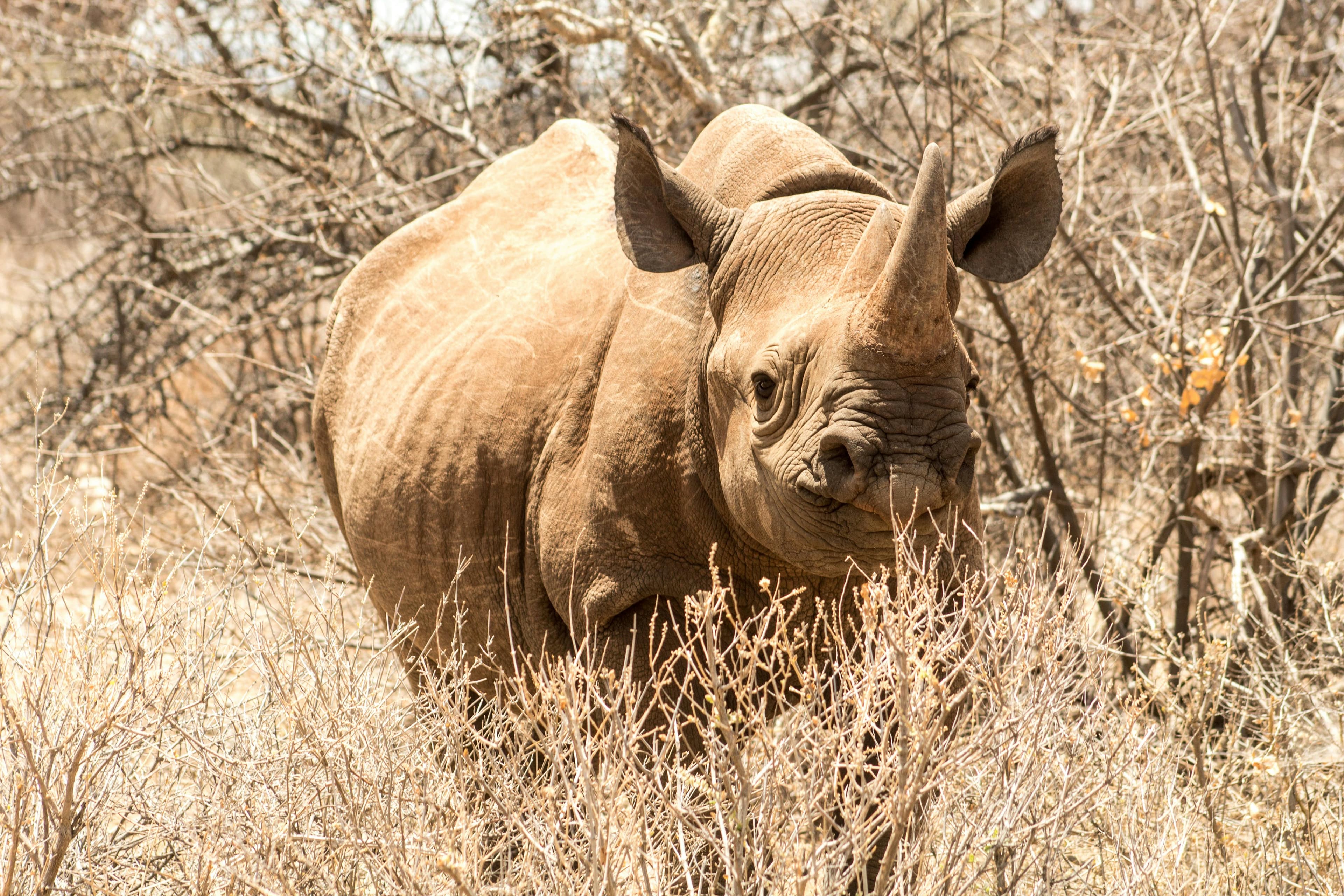 12 Days The Ultimate Kenya Safari Experience - Day 2