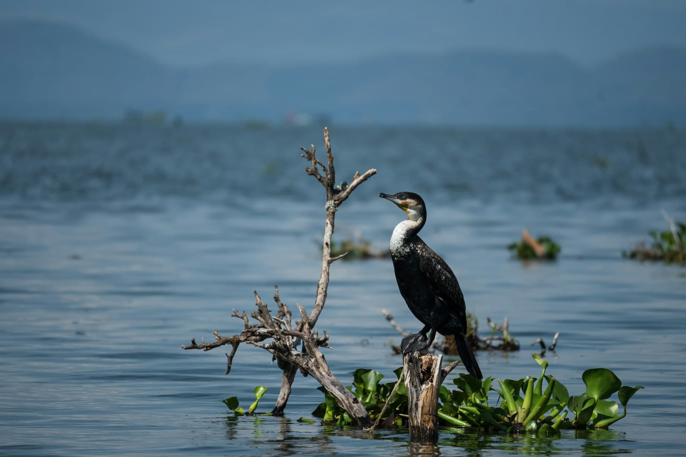 12 Days The Ultimate Kenya Safari Experience - Day 7