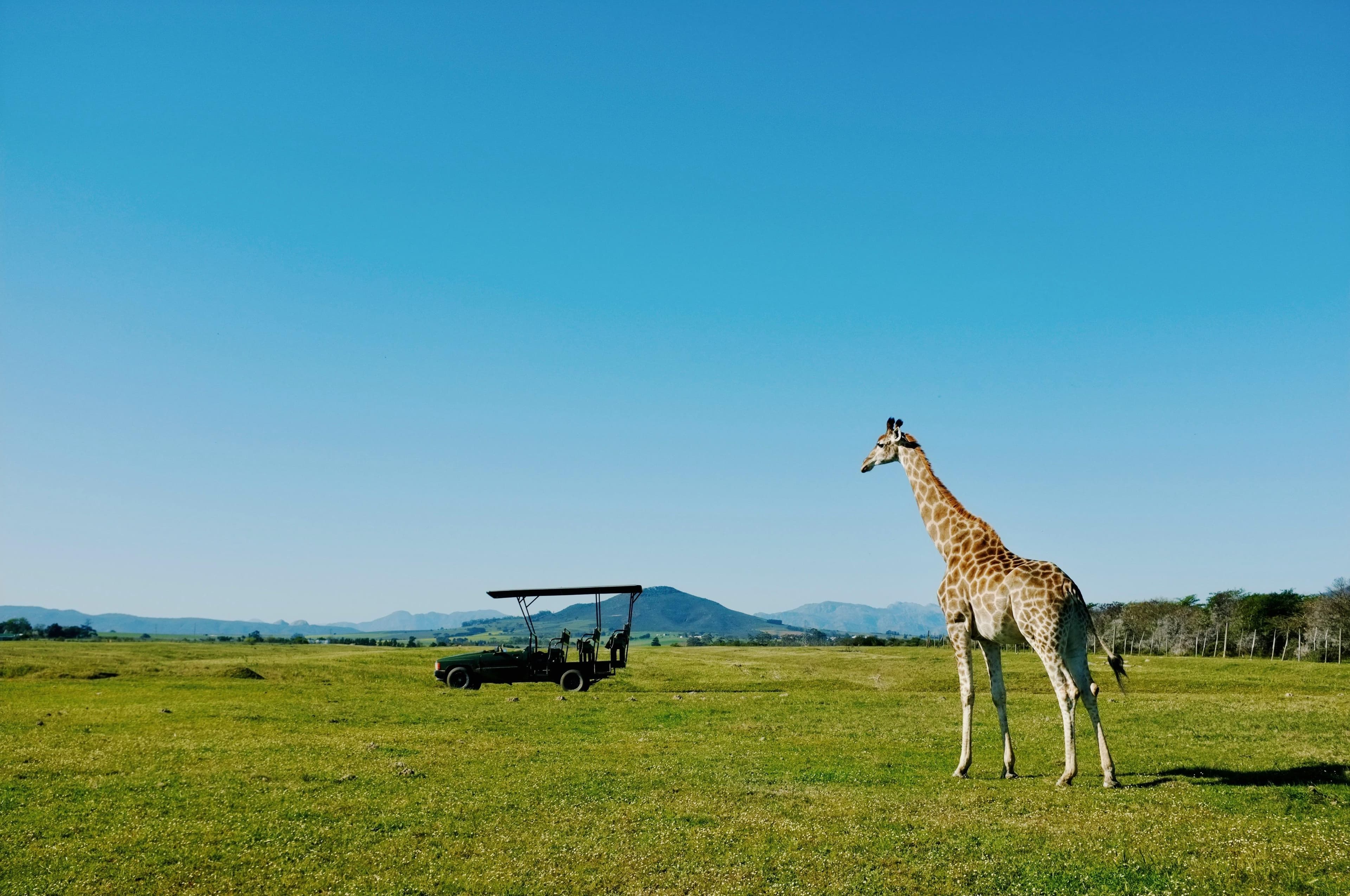 14-Day Kenya & Tanzania Safari + Zanzibar Beach Holiday - Day 2