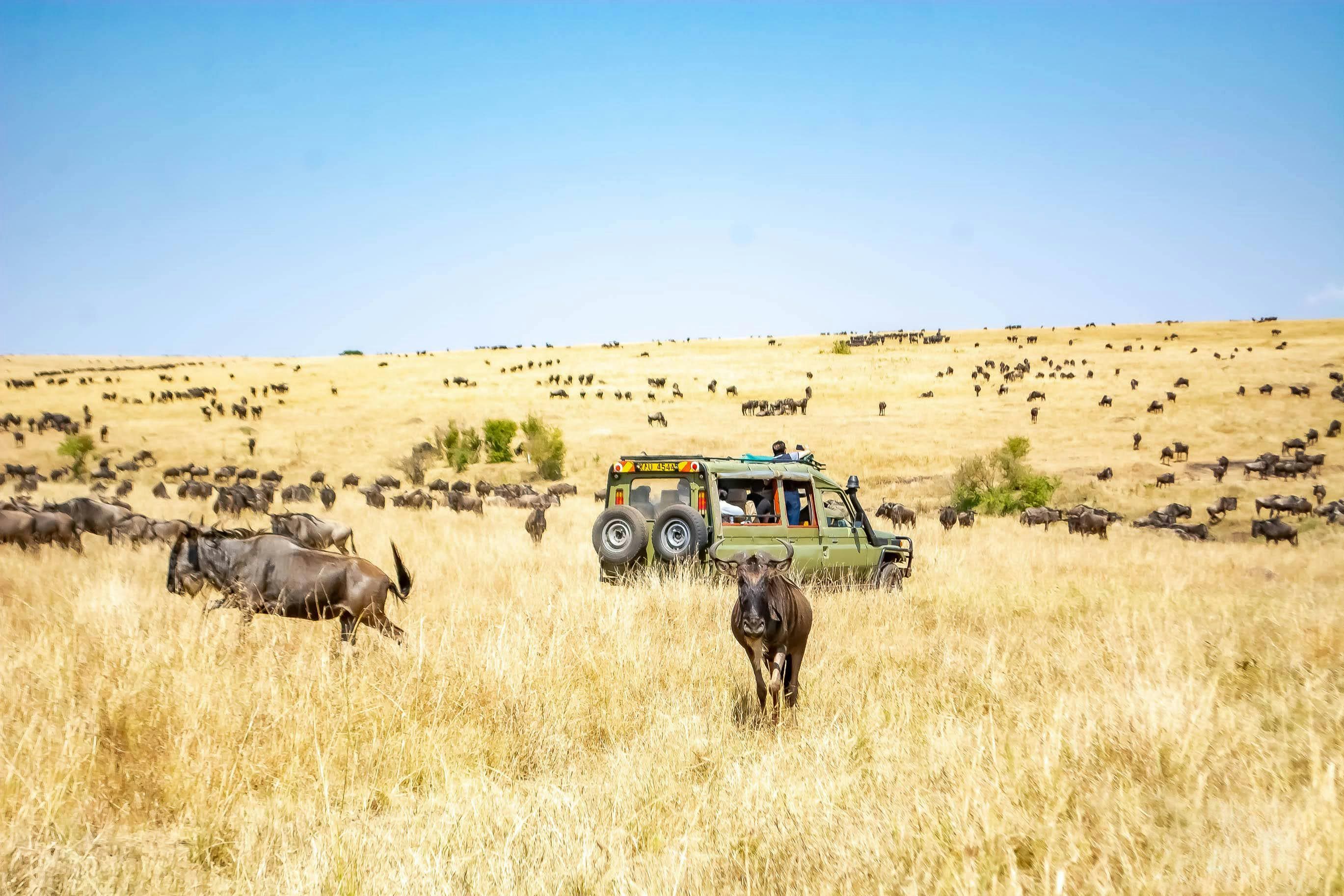 14-Day Kenya & Tanzania Safari + Zanzibar Beach Holiday - Day 6