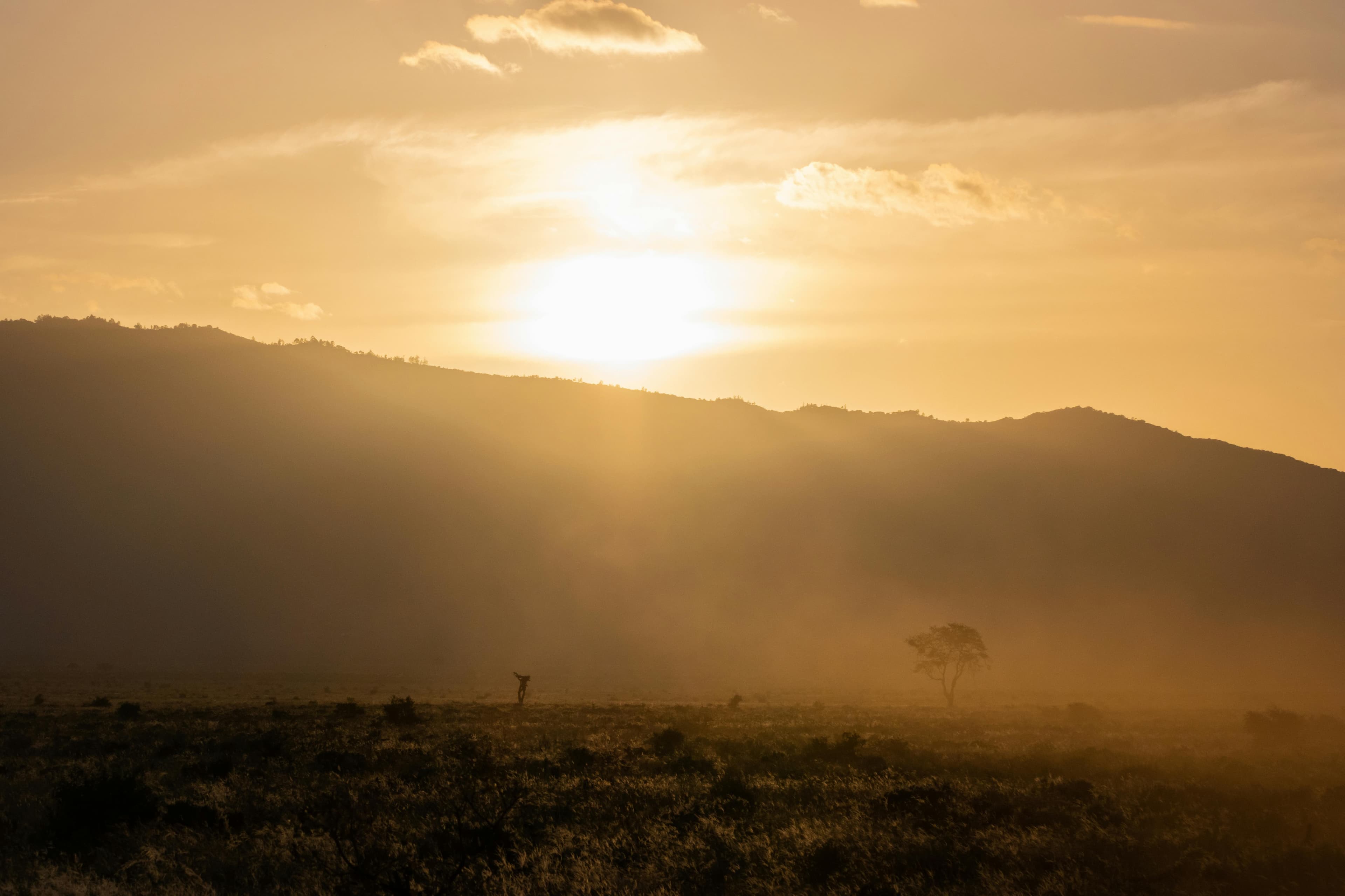 3-day-tsavo-west-tsavo-east-diani-safari - Day 2