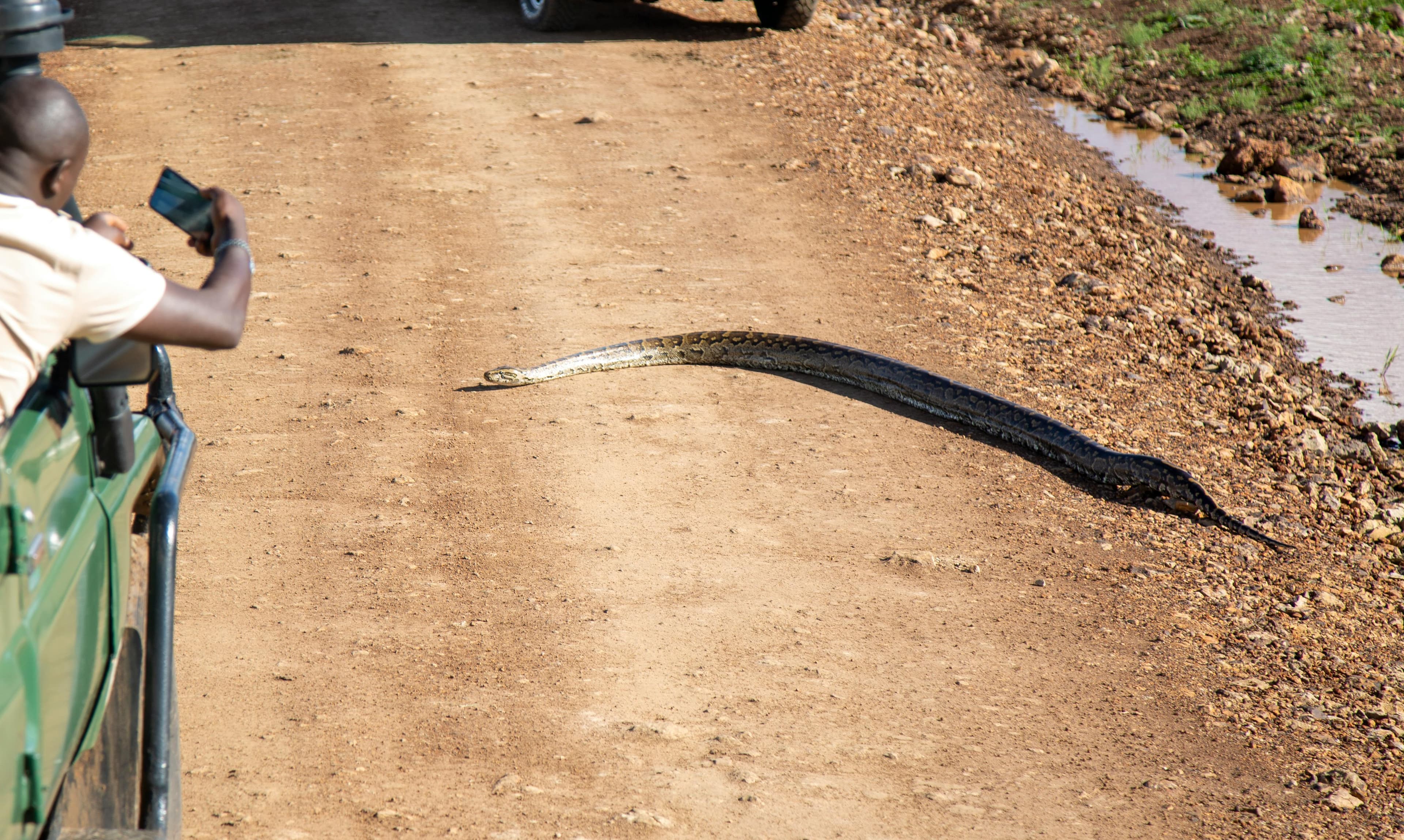 2 Nights Meru National Park Fly-in Safari from Nairobi - Day 3