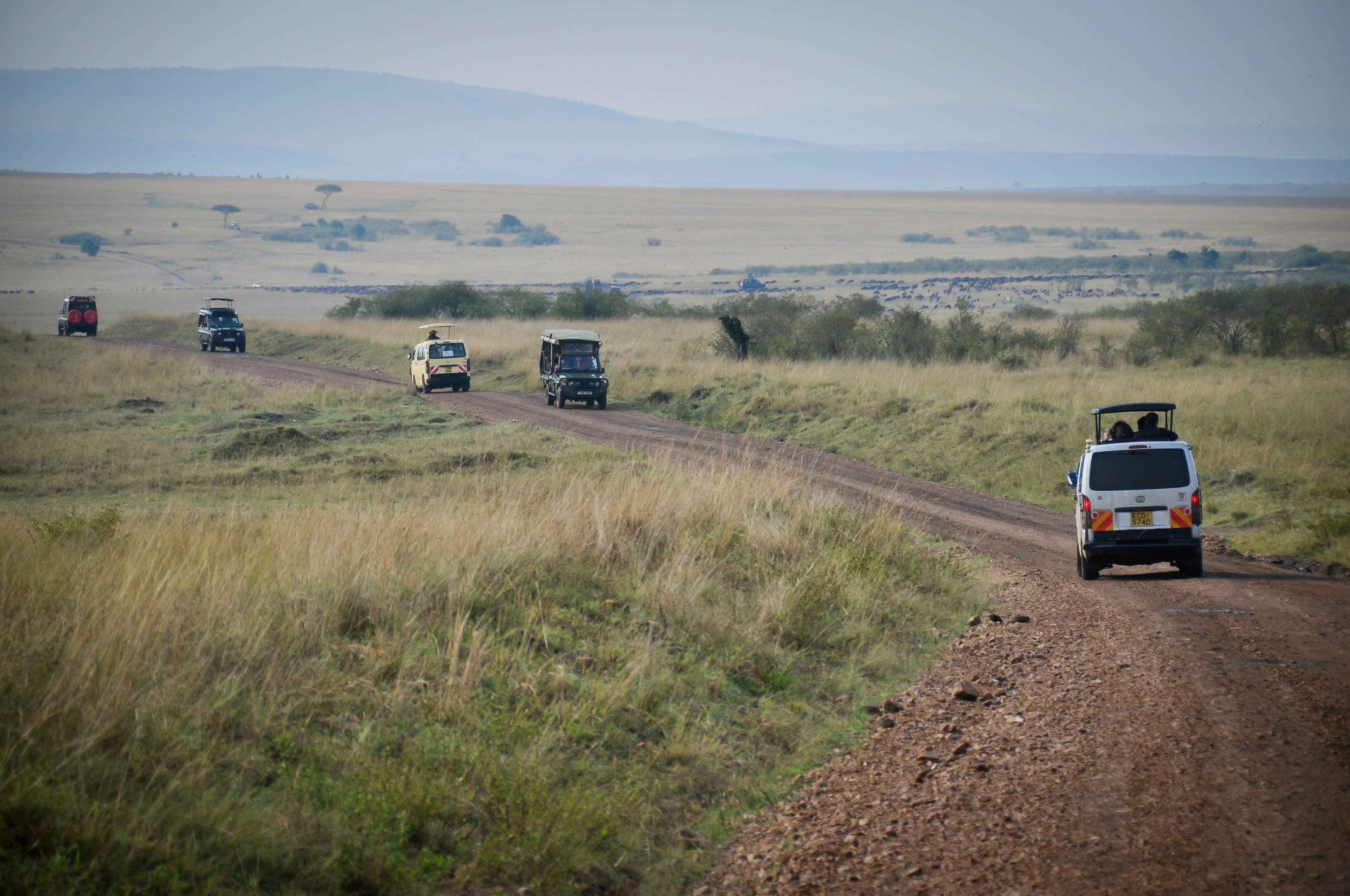 5 Days Lake Manyara, Serengeti & Ngorongoro Crater - Day 3