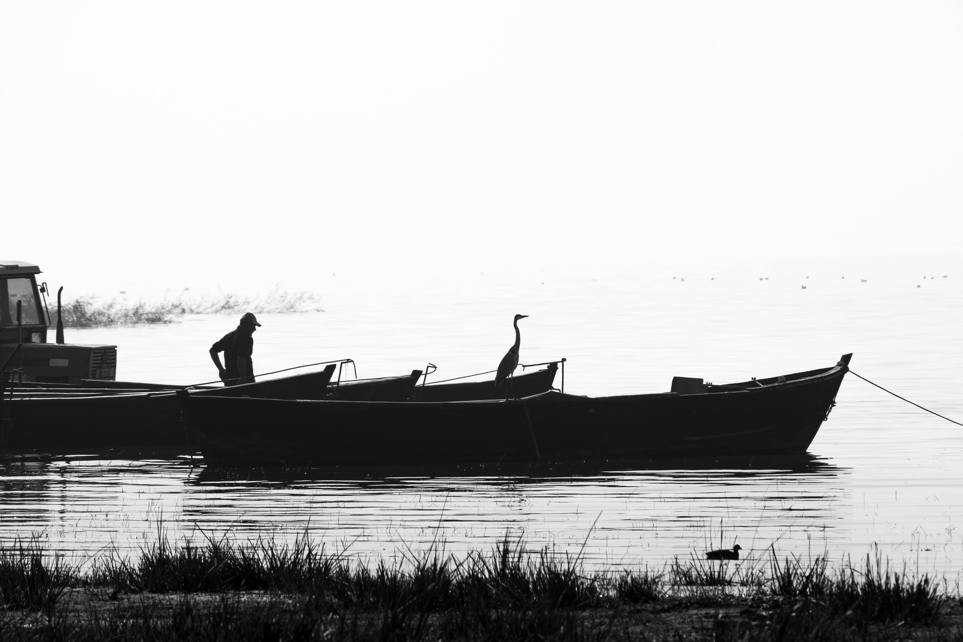 5 Days: Lake Nakuru, Naivasha & Maasai Mara - Day 1 Show a calm lake scene, shoreline birds, or a safari boat on the water.