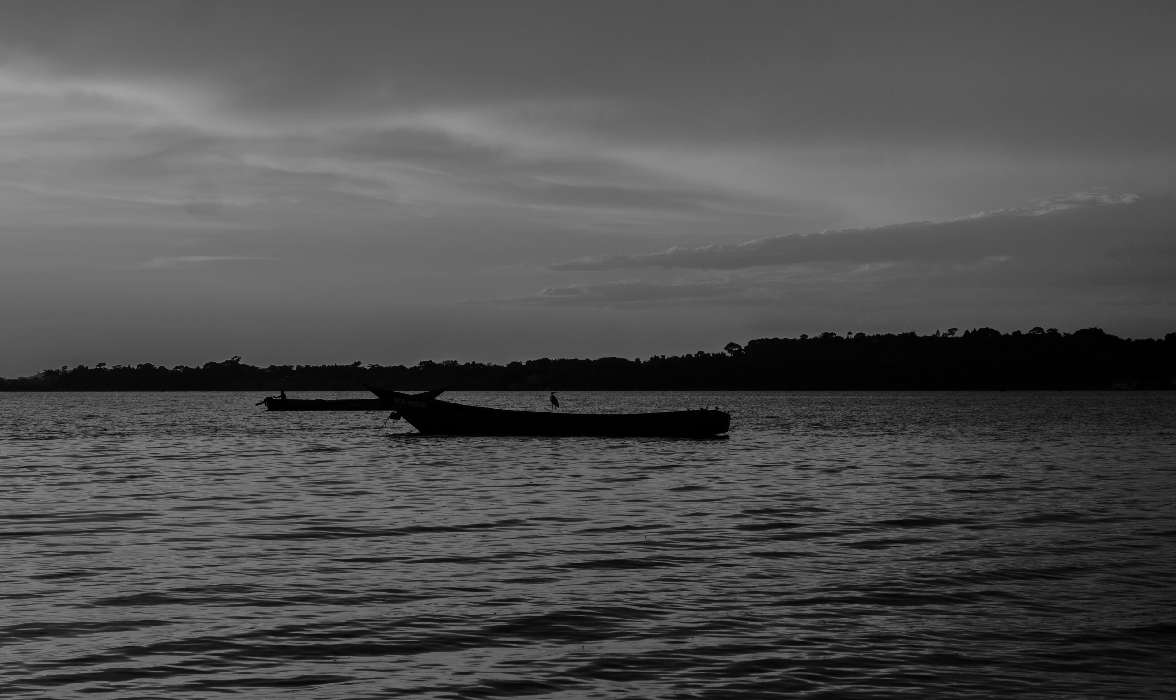 6 Day Uganda Wildlife & Gorilla Trekking Safari - Day 1