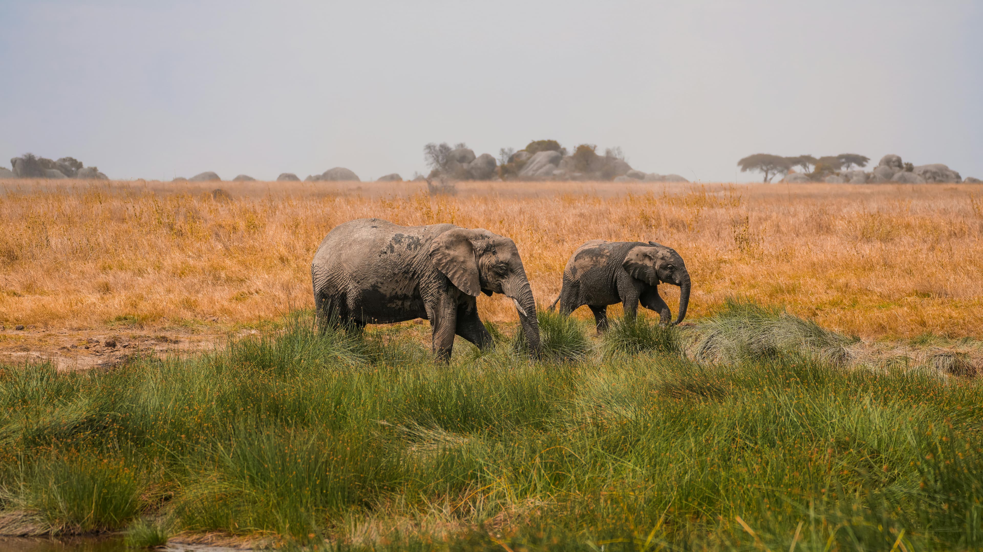 6 Days Lakes, Wildlife, and Endless Plains - Day 6