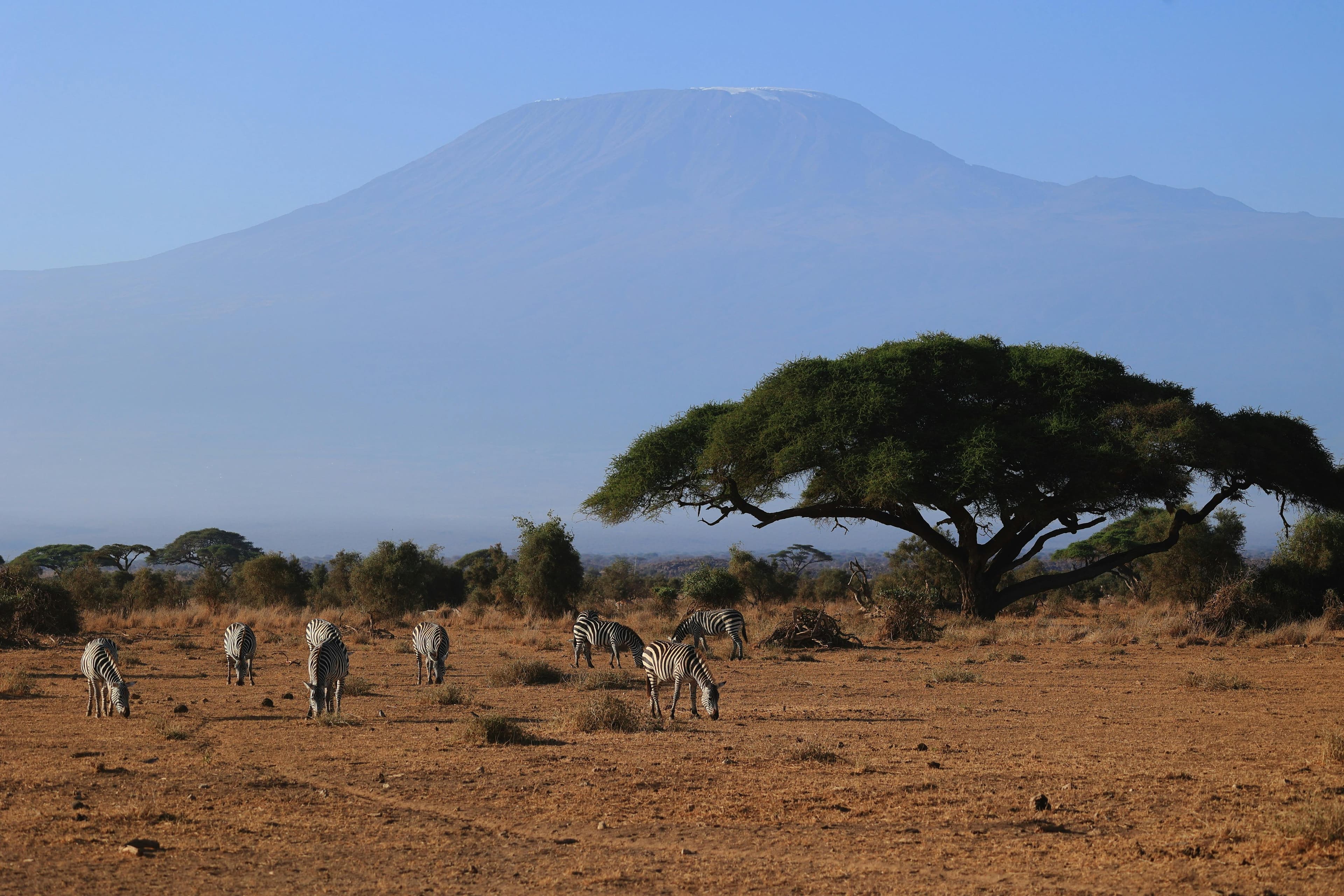 6DAYS TSAVO WEST AMBOSELI LAKE NAIVASHA MAASAI MARA SAFARI - Day 3