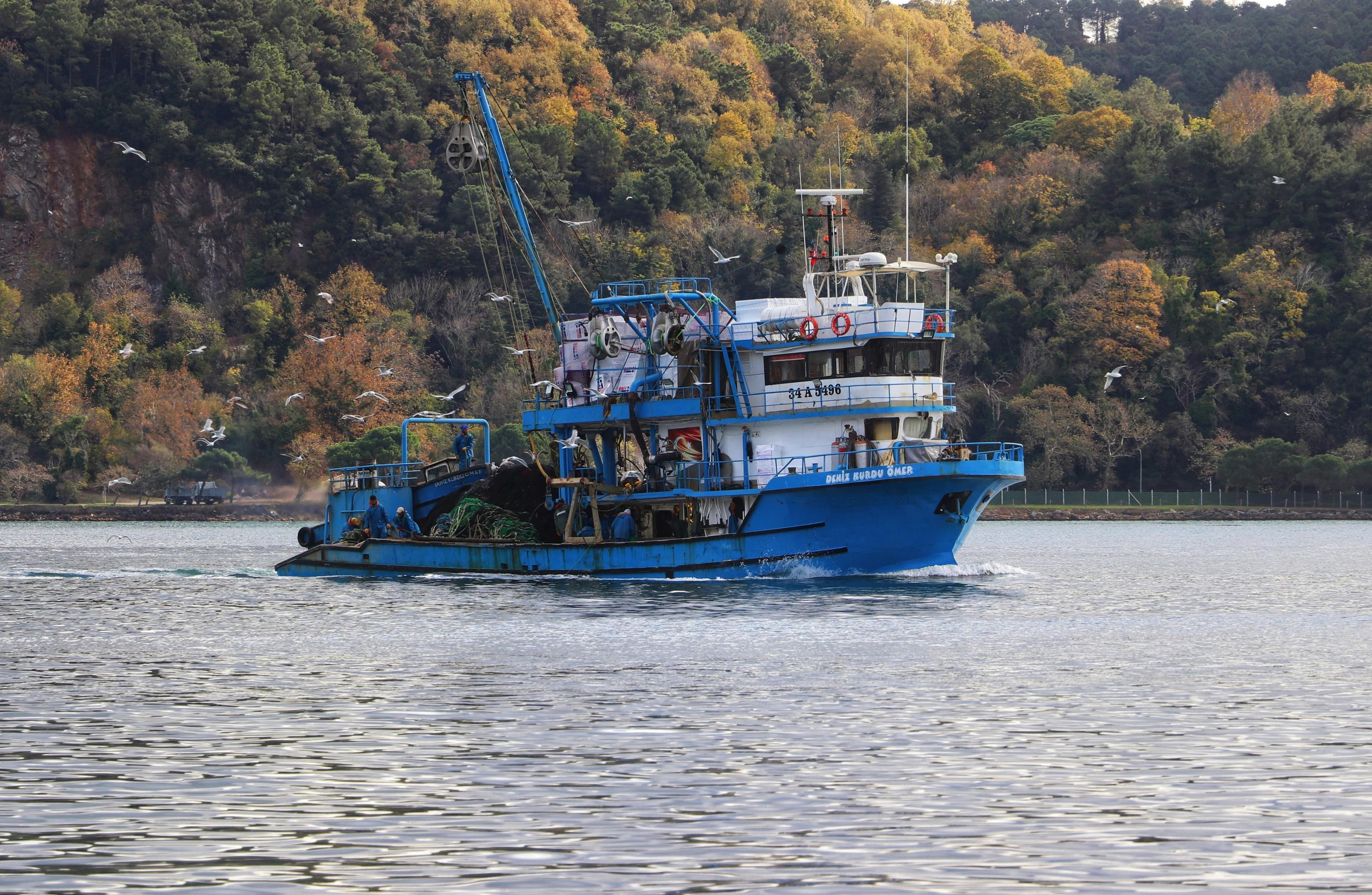 7-Day Kenya Safari Amboseli, Naivasha, Nakuru & Maasai Mara - Day 3 Show open water, shoreline birdlife, or a safari boat scene that suggests Lake Naivasha.