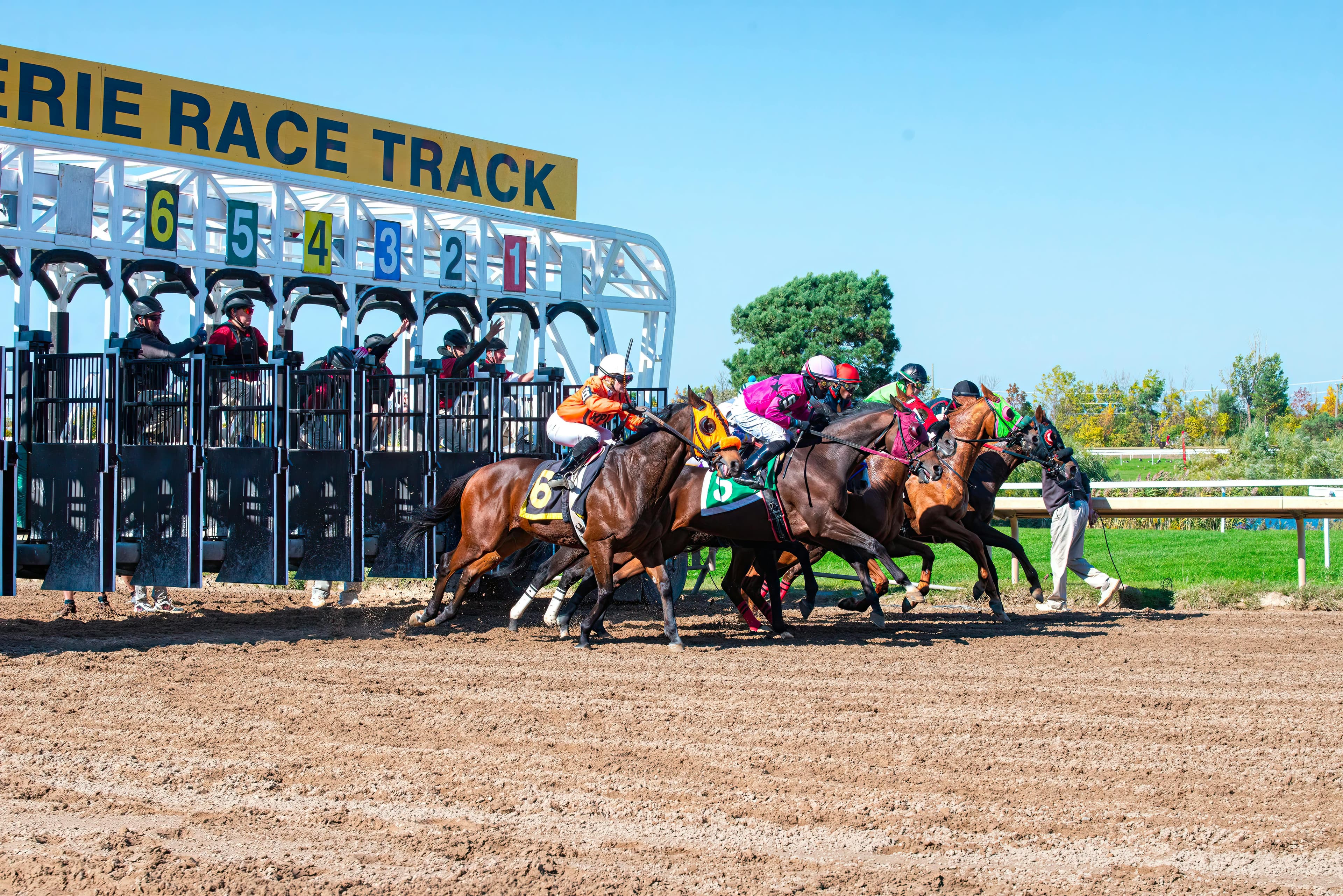 8 Days Mount Kilimanjaro Climb - Lemosho Route - Day 1